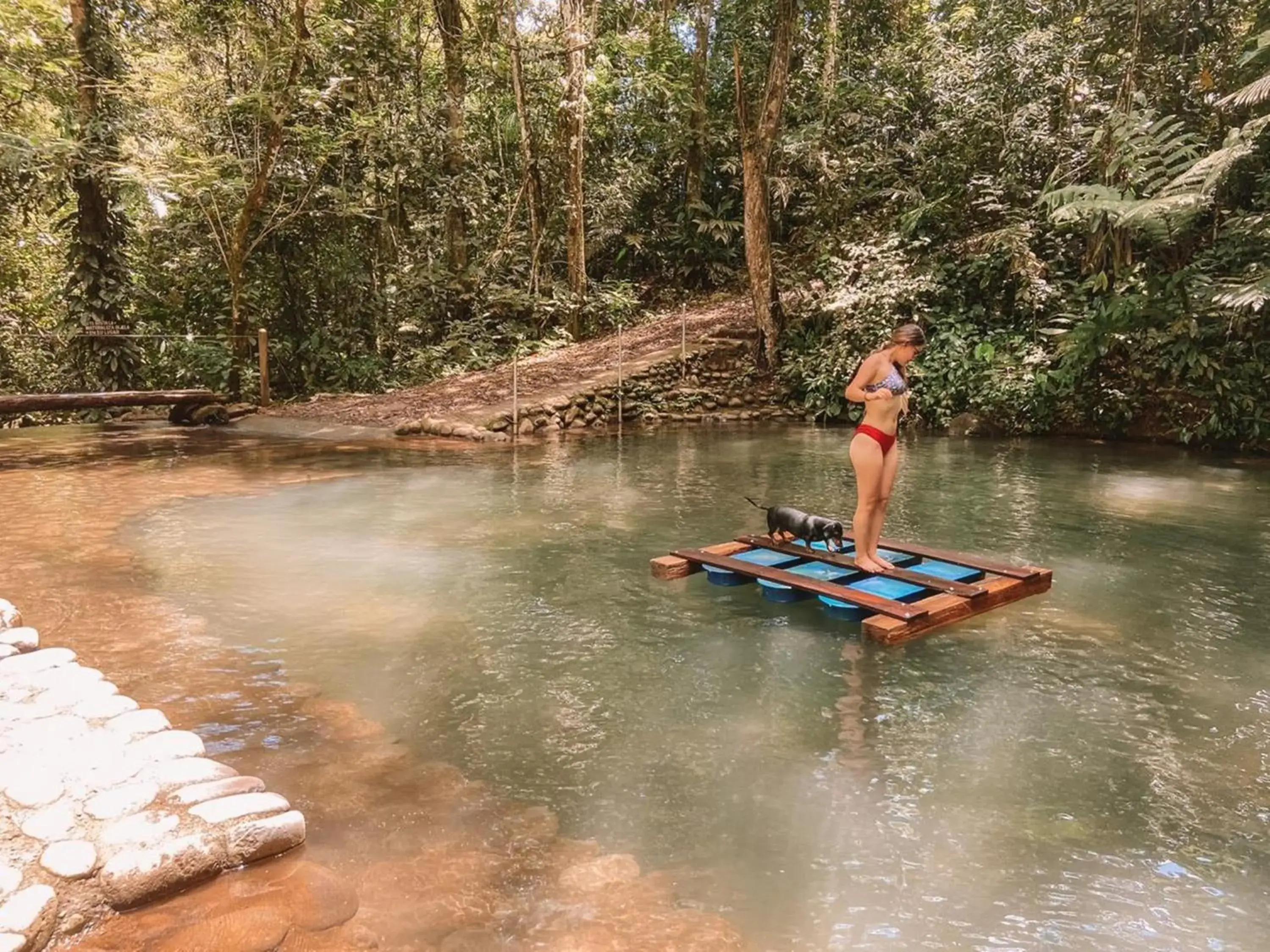 Other in Hotel del Bosque Other in Hotel del Bosque