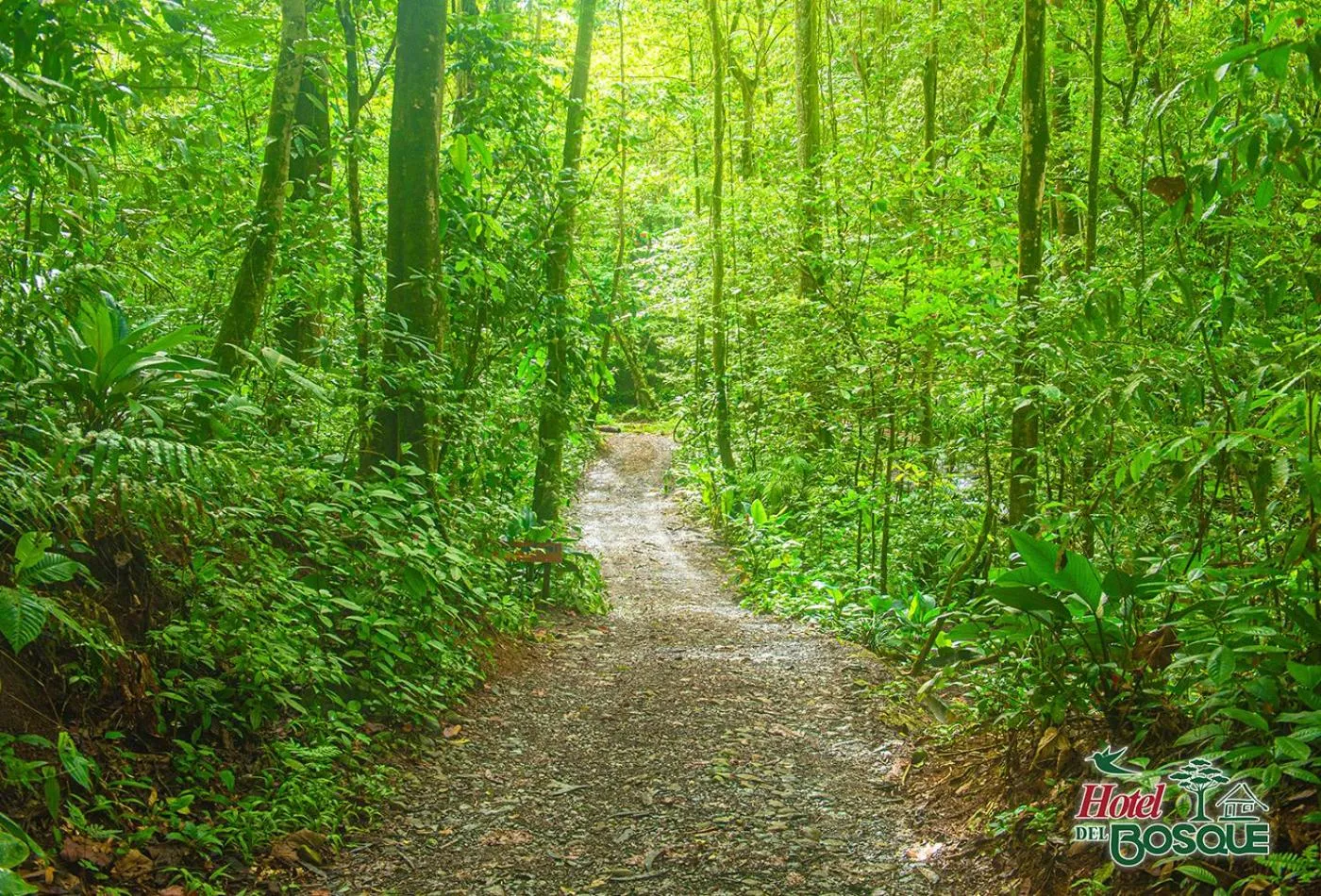 Natural landscape in Hotel del Bosque
