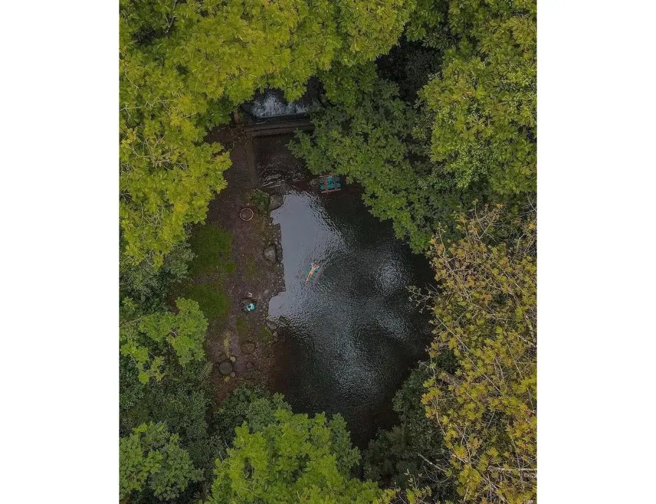 Pool view in Hotel del Bosque Pool view in Hotel del Bosque