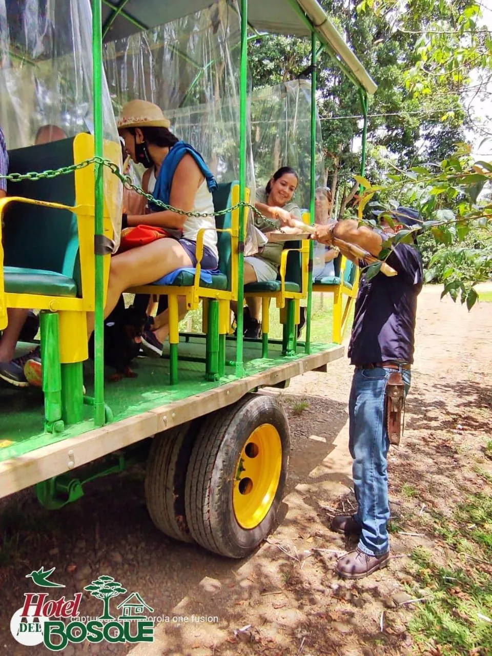 Activities in Hotel del Bosque