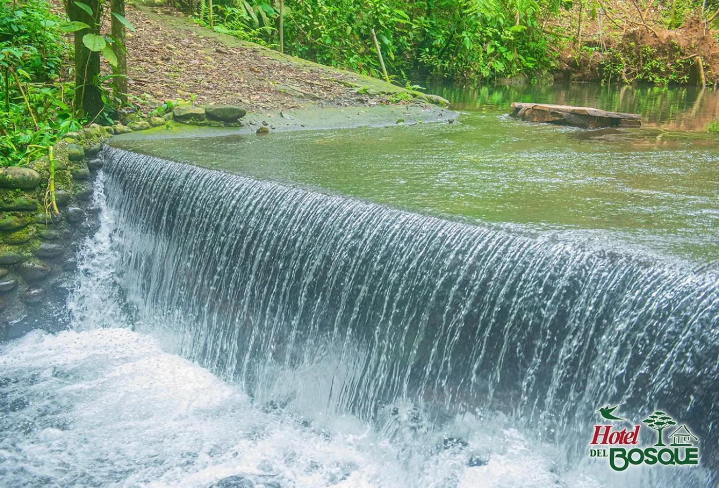 Swimming pool in Hotel del Bosque