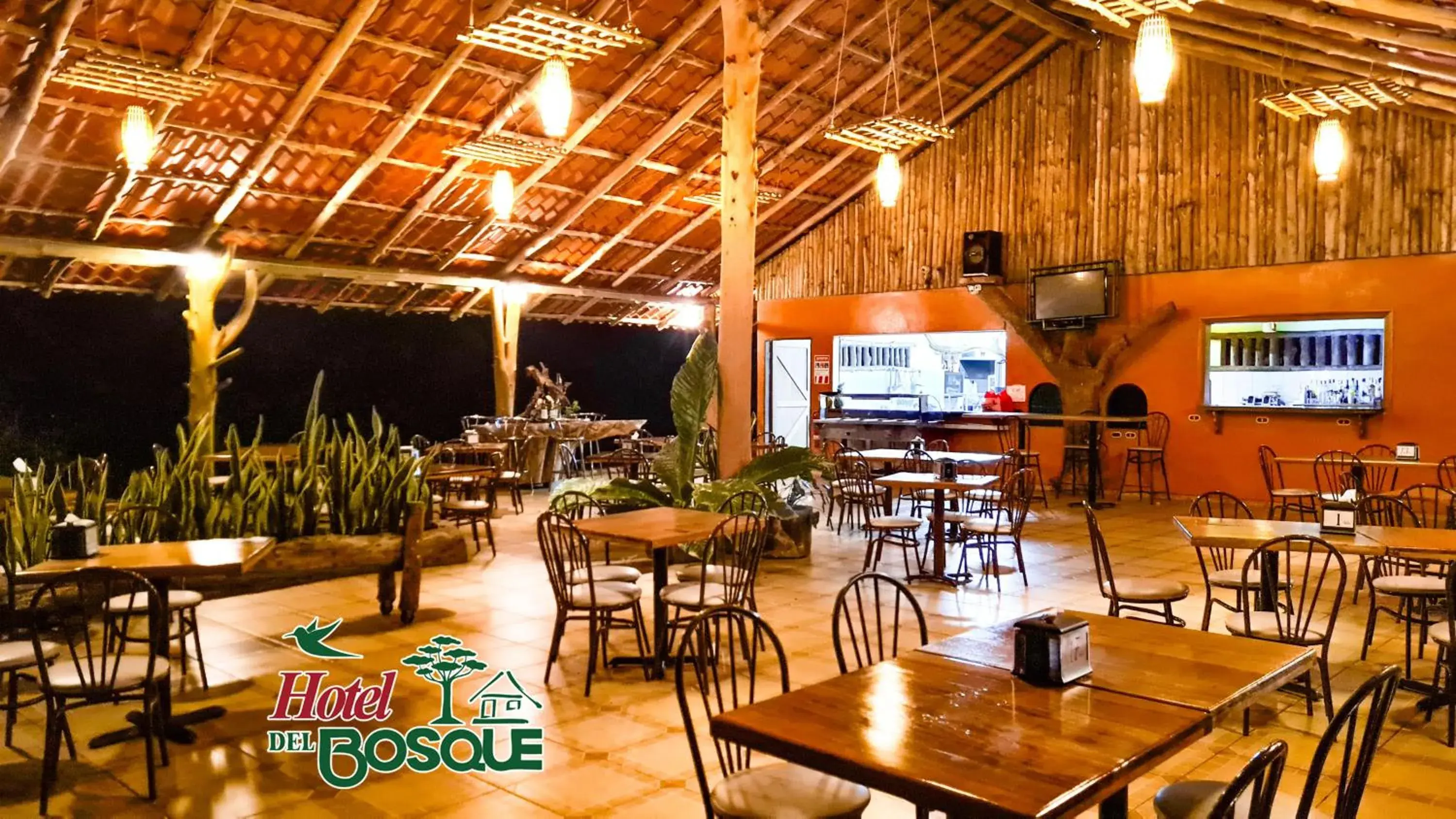 Restaurant/places to eat in Hotel del Bosque Restaurant/places to eat in Hotel del Bosque