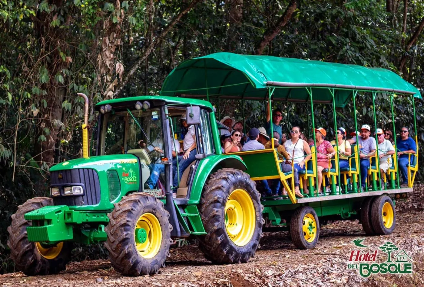 Activities in Hotel del Bosque