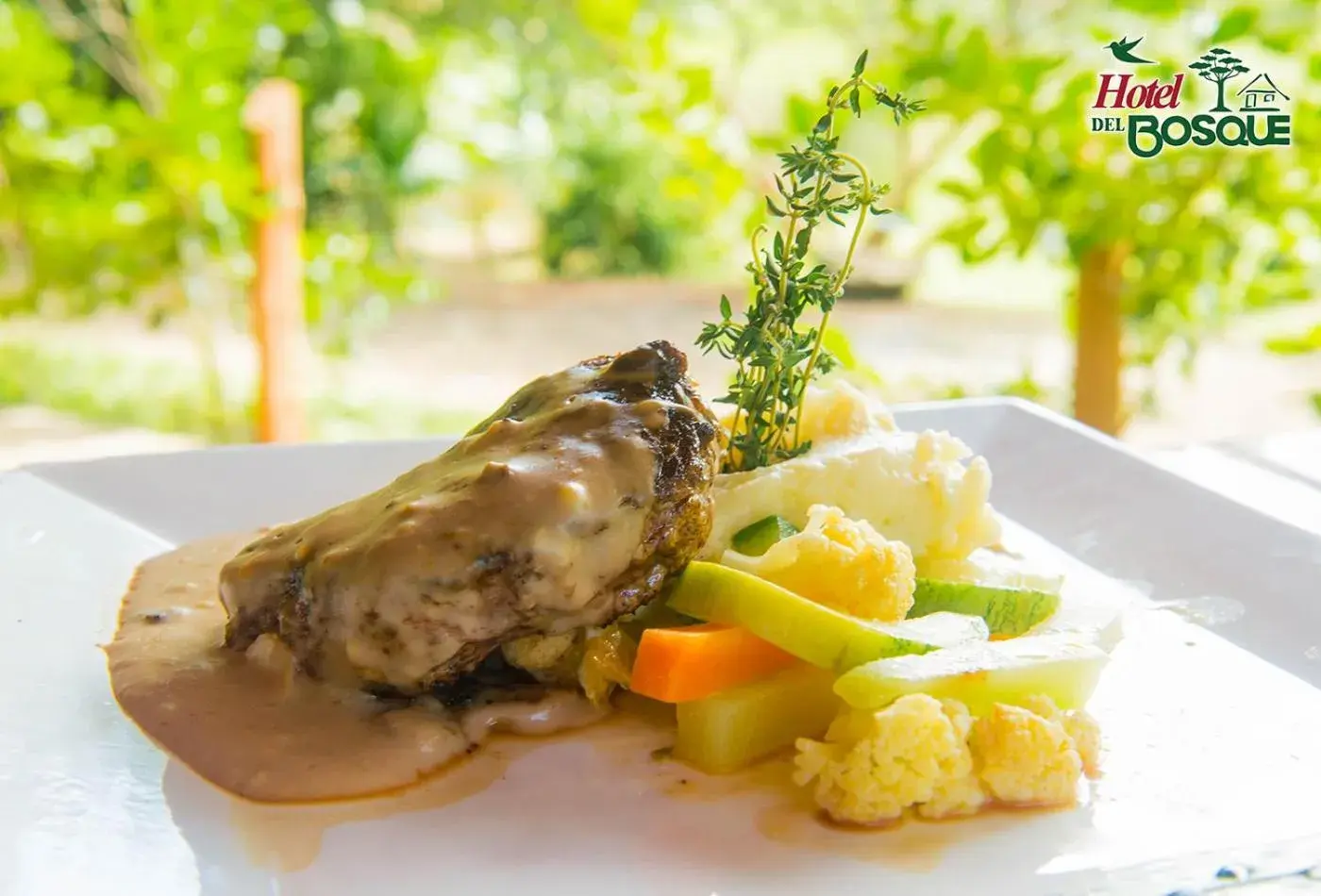 Restaurant/places to eat in Hotel del Bosque Restaurant/places to eat in Hotel del Bosque