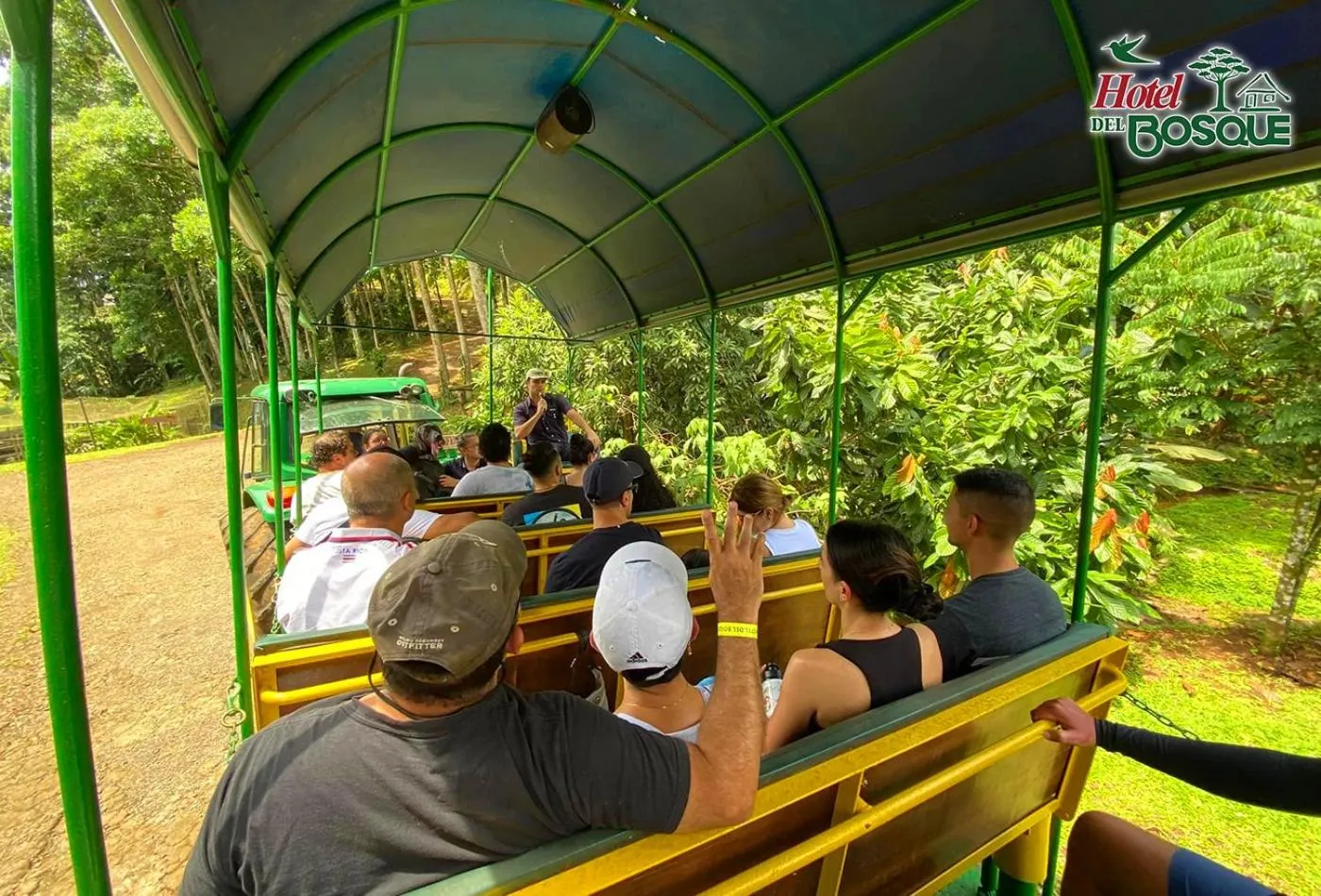 Day in Hotel del Bosque