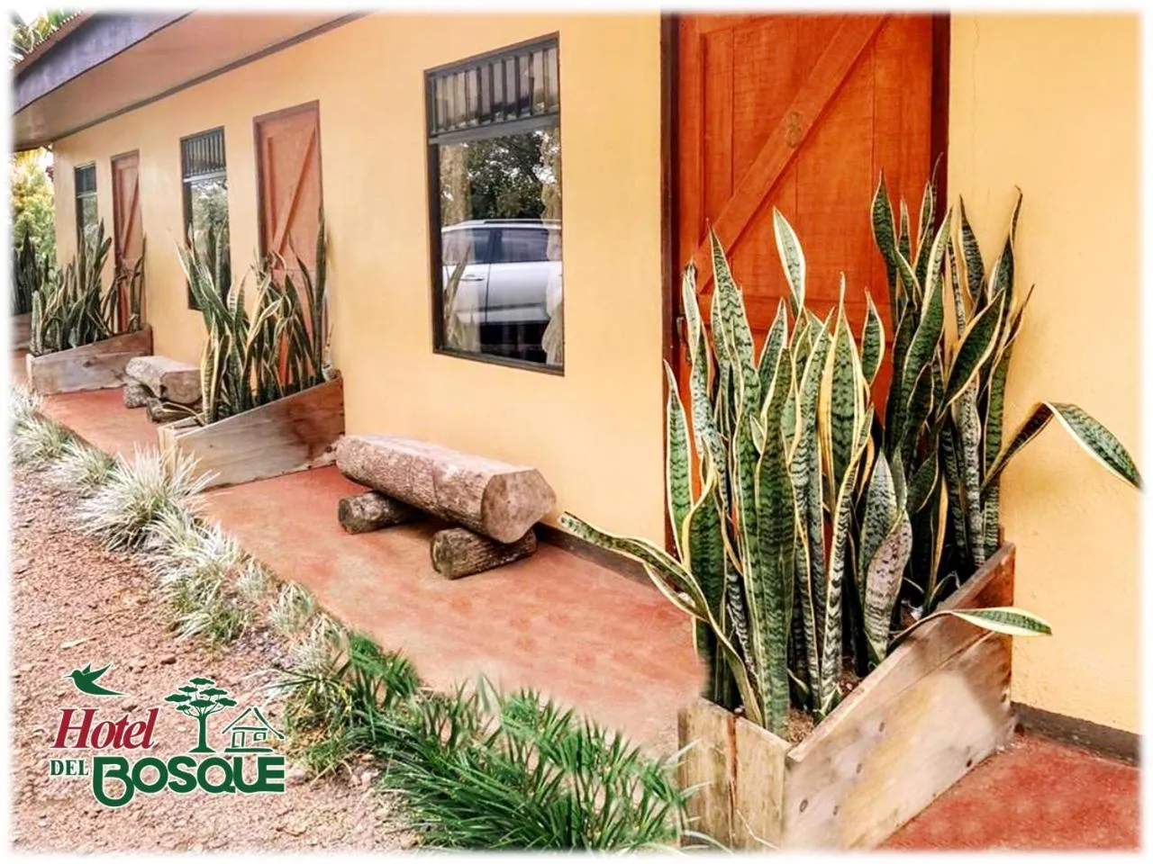 Garden in Hotel del Bosque