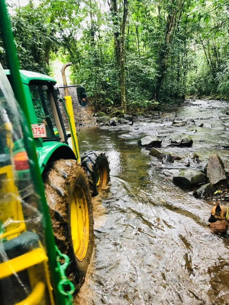 Activities in Hotel del Bosque