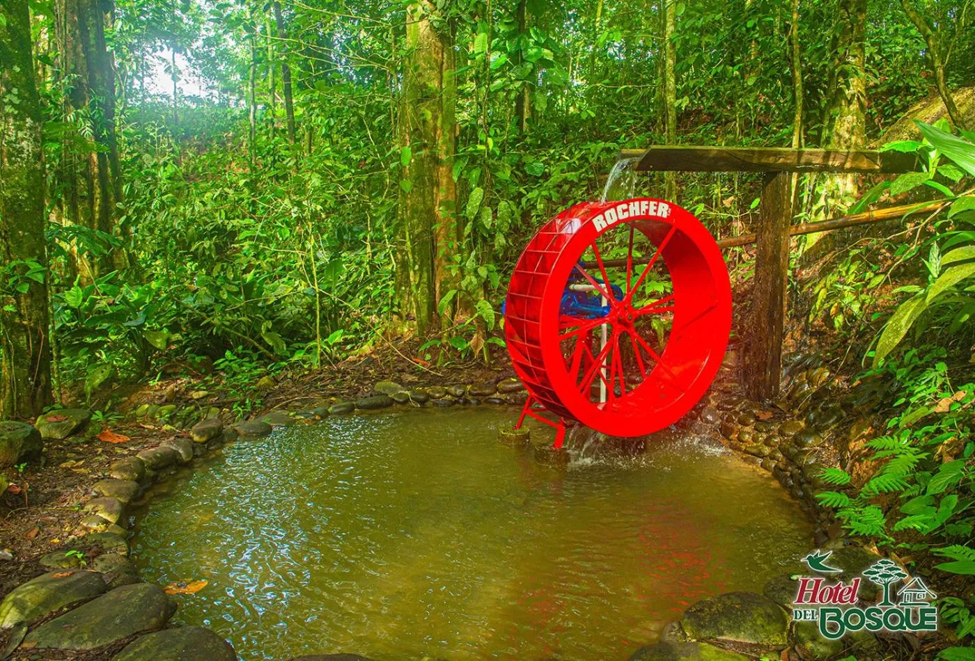 Natural landscape in Hotel del Bosque