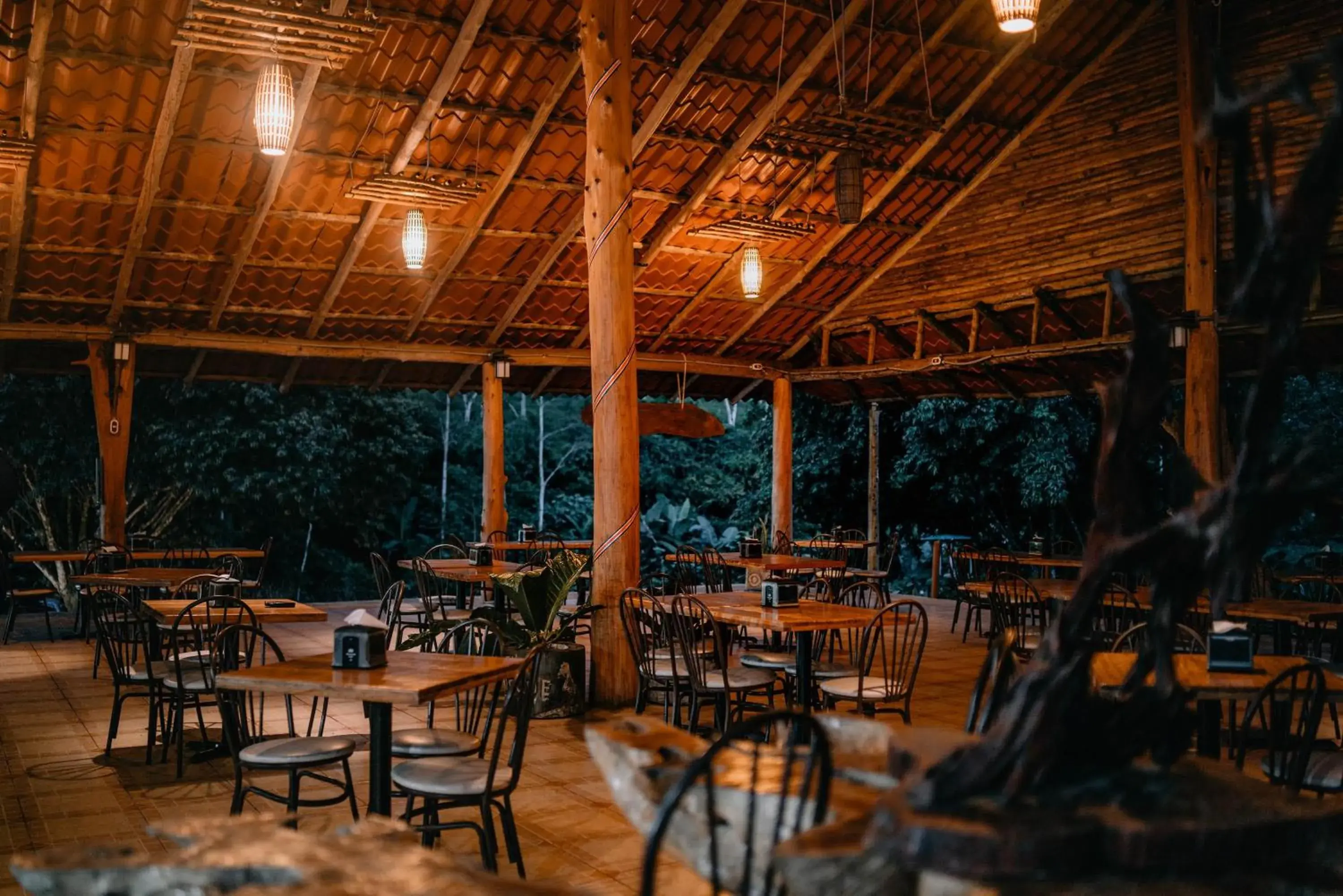 Restaurant/places to eat in Hotel del Bosque Restaurant/places to eat in Hotel del Bosque