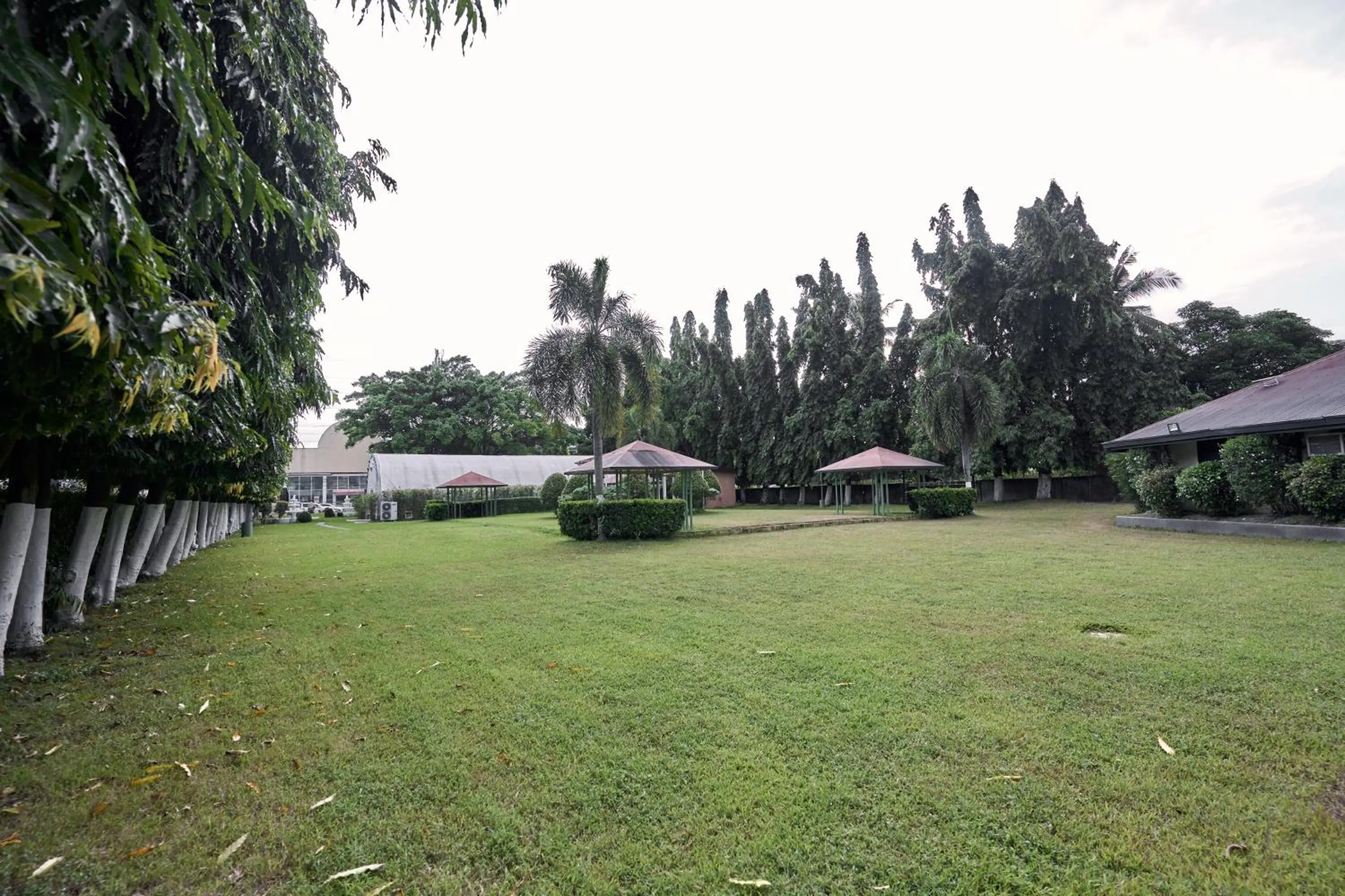 Garden in Victoria Court San Fernando