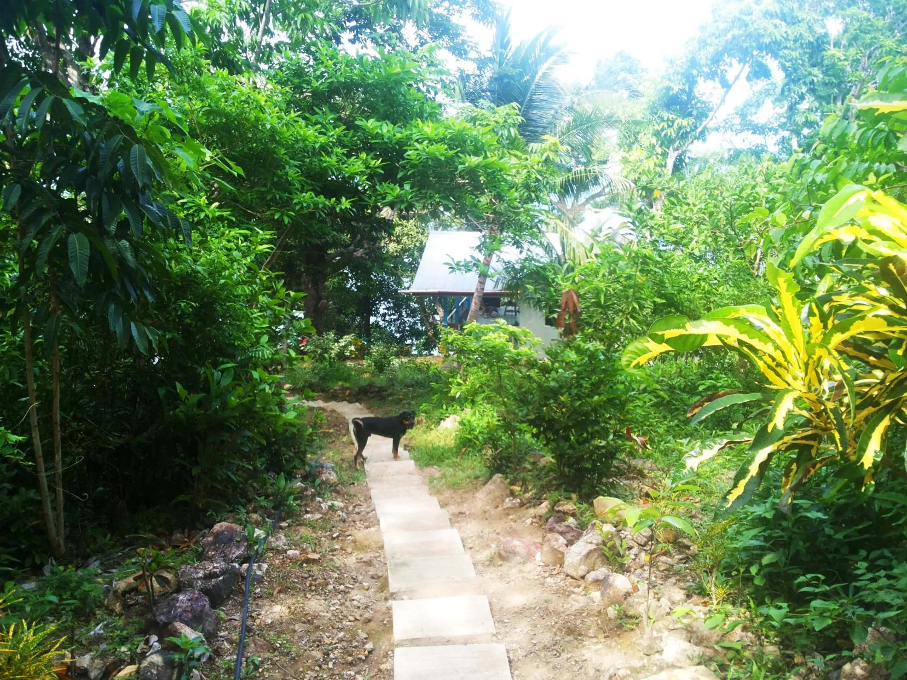 Garden in Alam Indah Beach Resort Busuanga