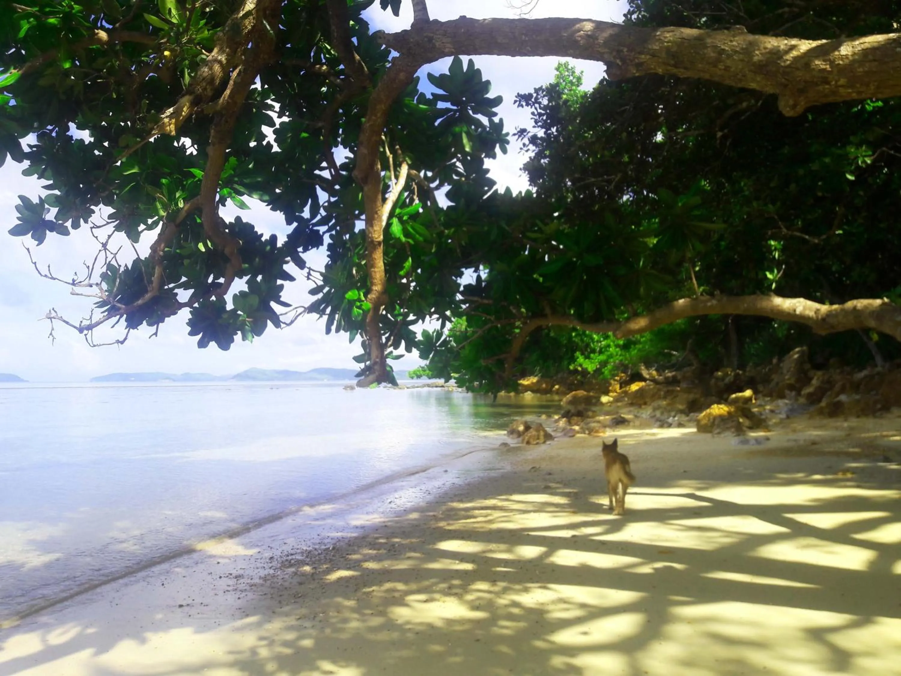 Beach in Alam Indah Beach Resort Busuanga
