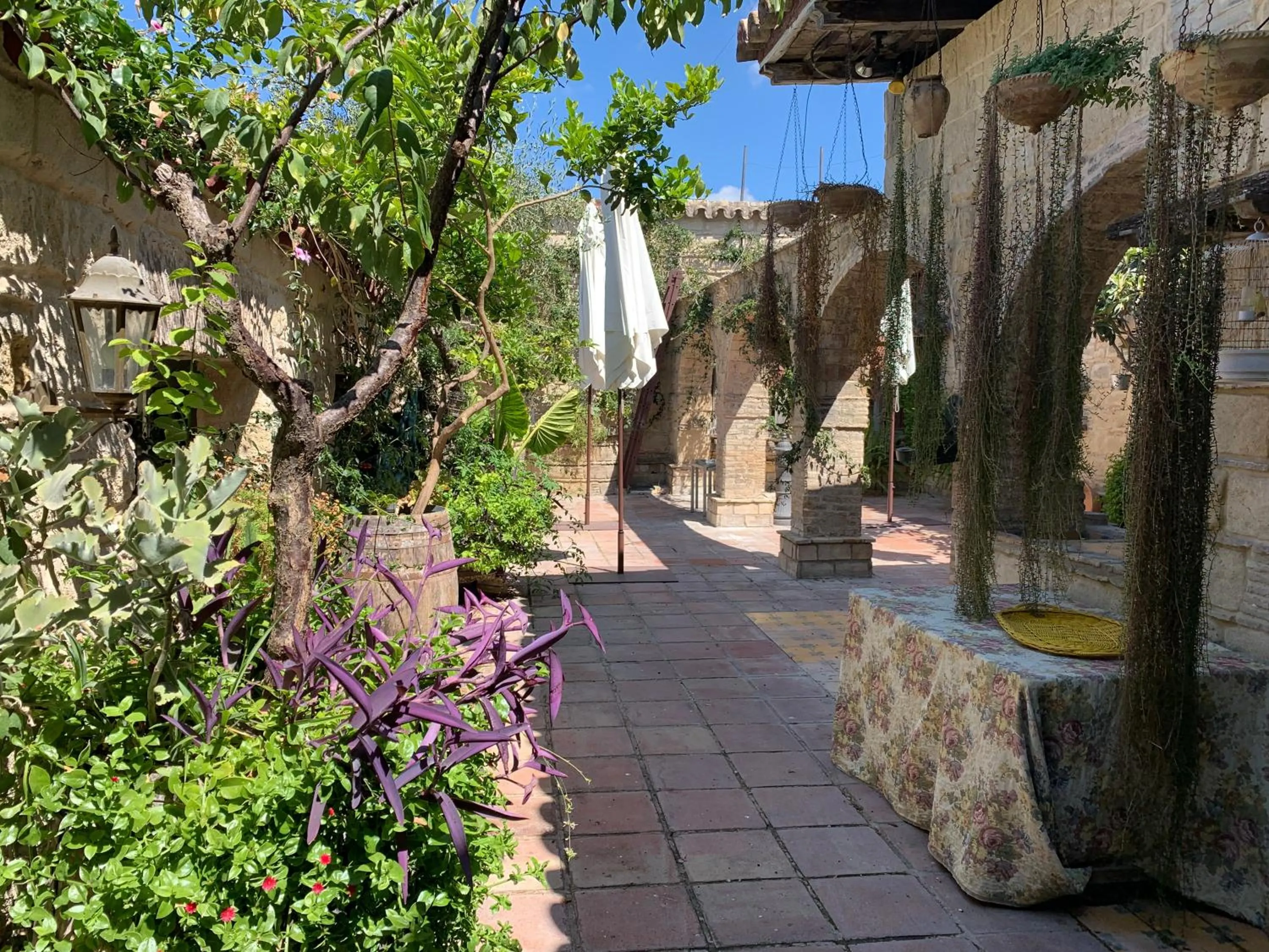 Balcony/Terrace in Casa Palacio Jerezana