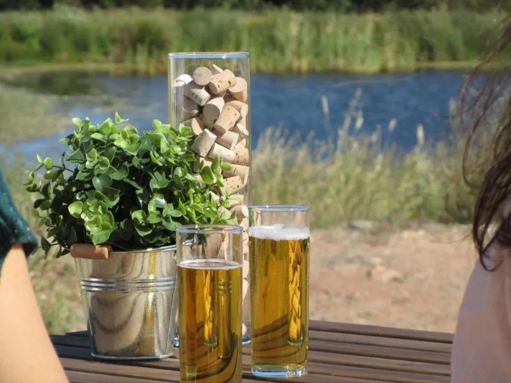 Day in Casas de Miróbriga