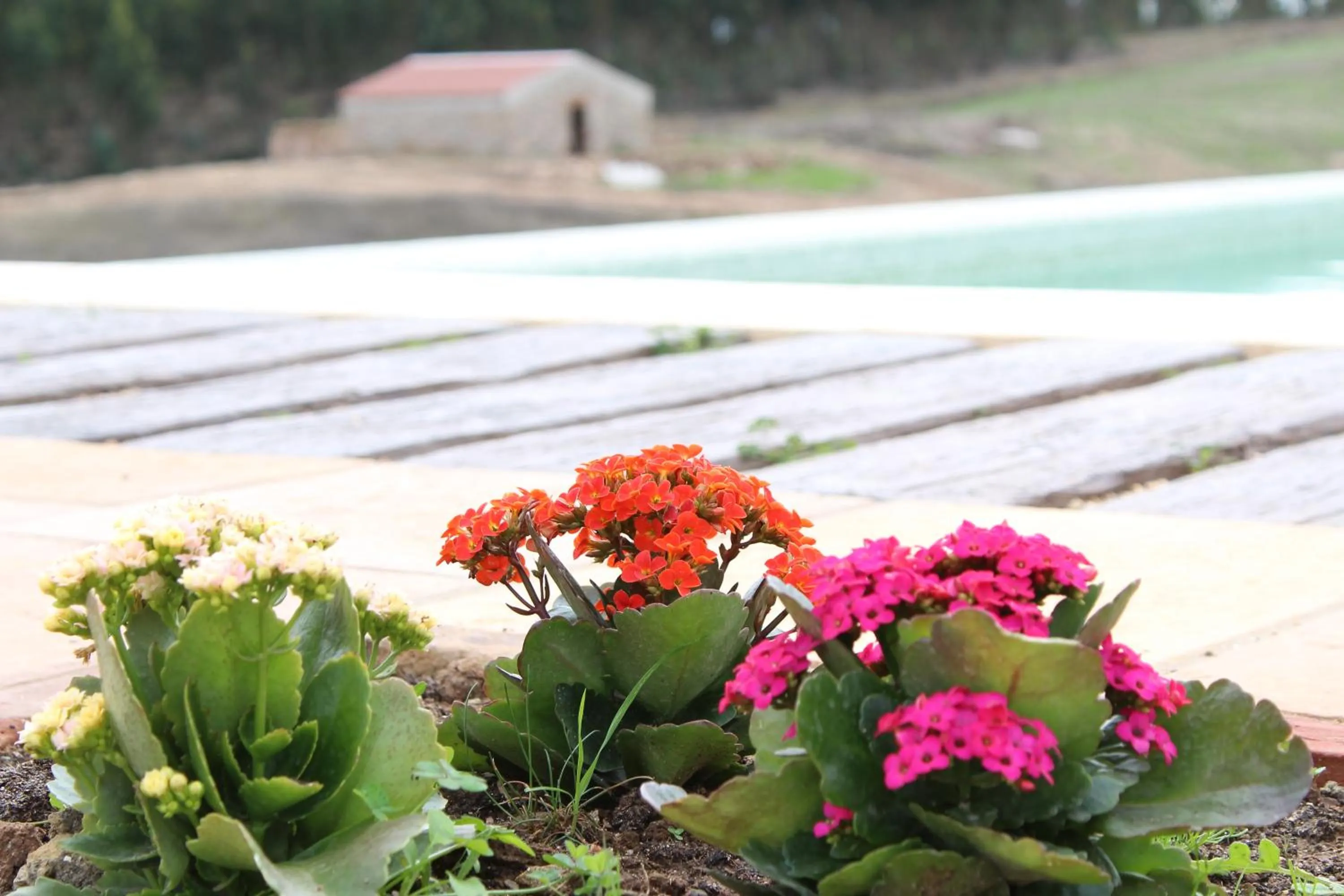 Property building in Casas de Miróbriga