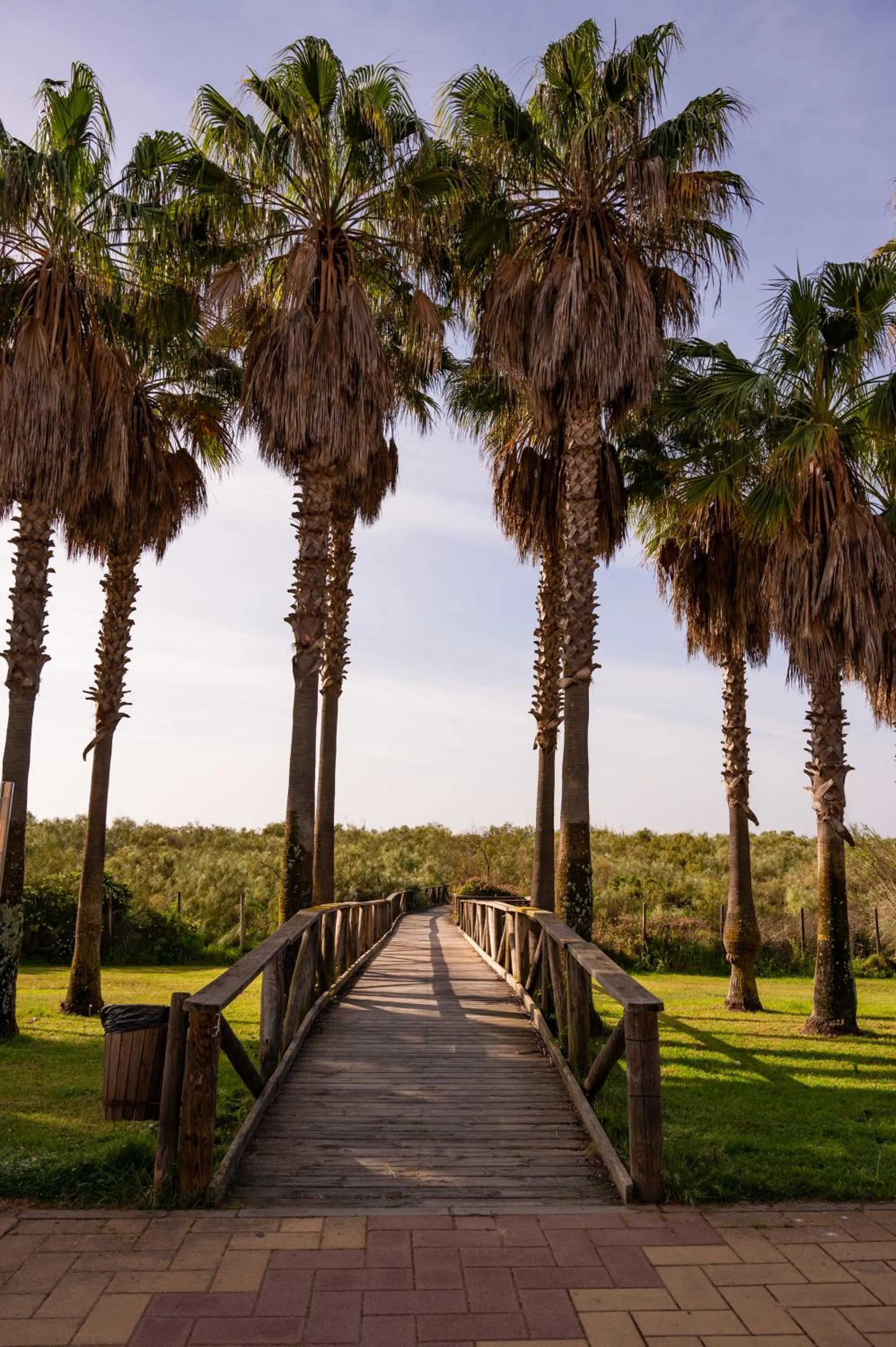 Natural landscape in Vila Gale Isla Canela