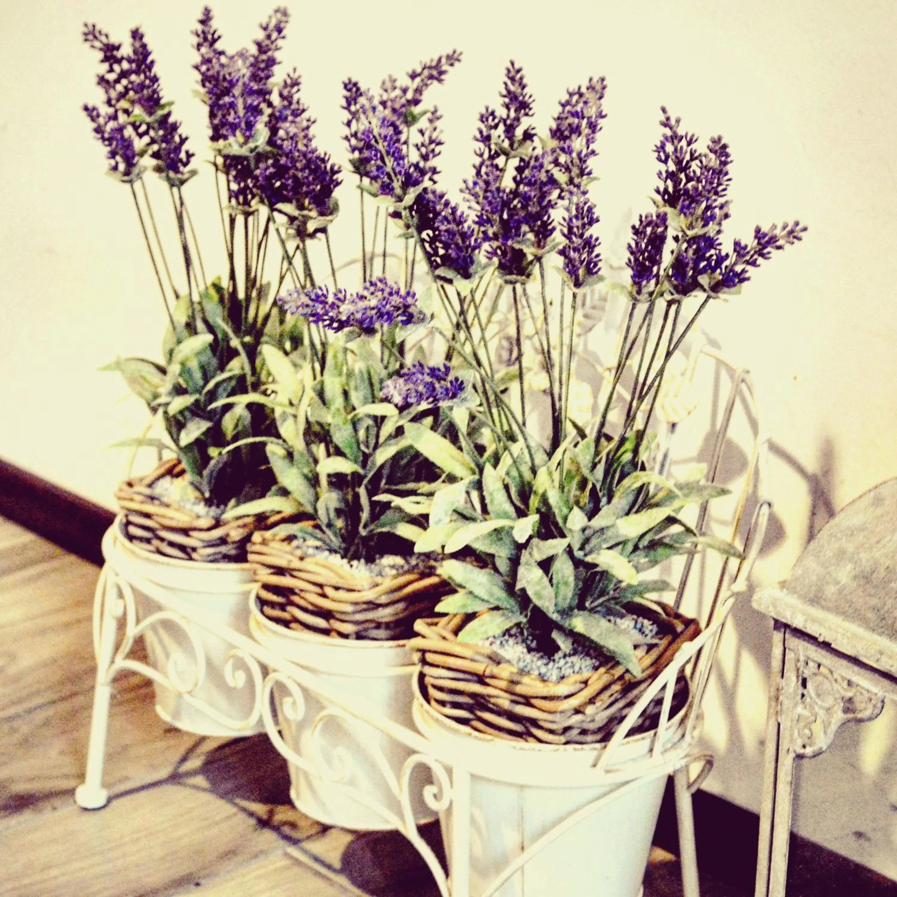 Decorative detail in RomAntic Dreams