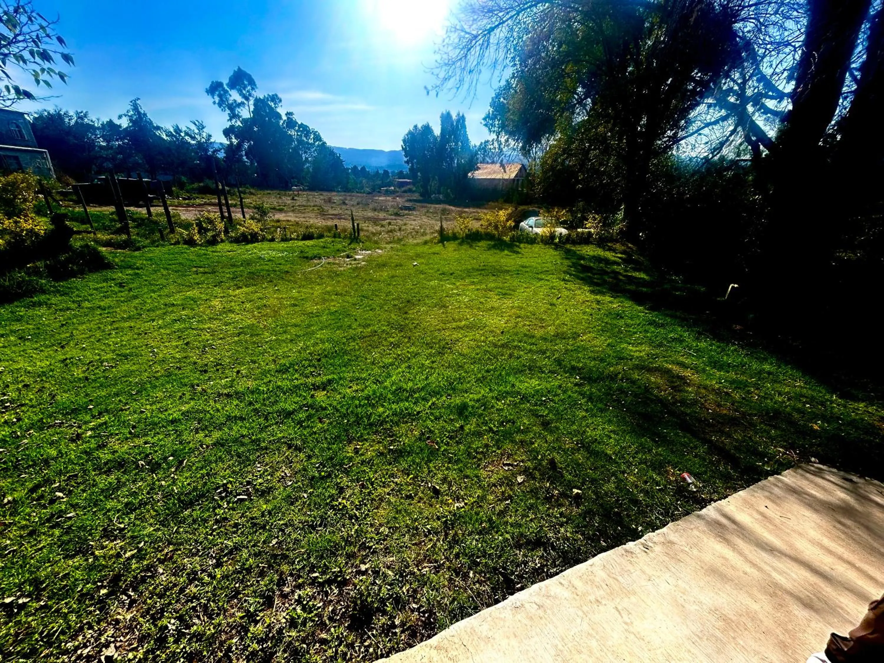 Spring in Hotel Las Palmas By GEstores