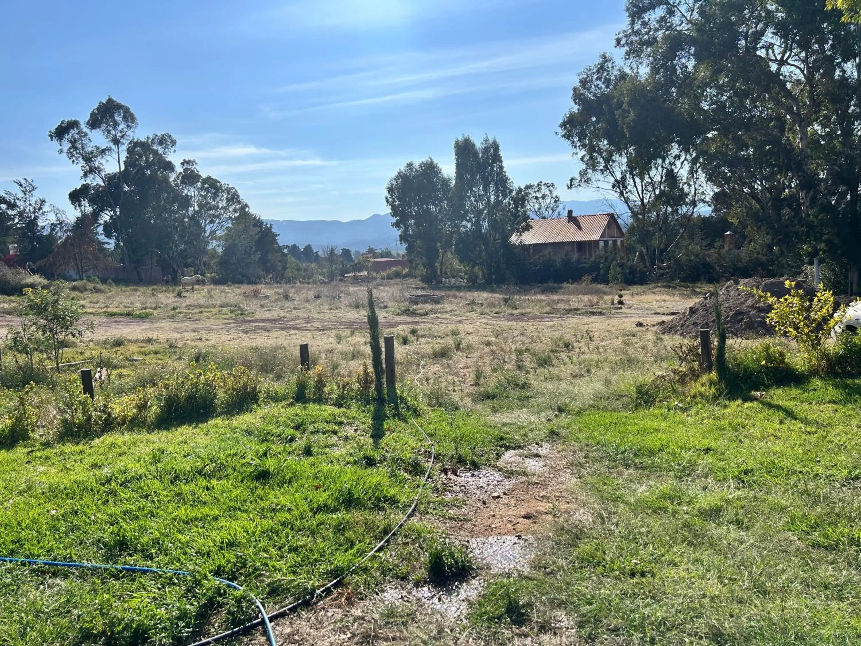 Spring in Hotel Las Palmas By GEstores