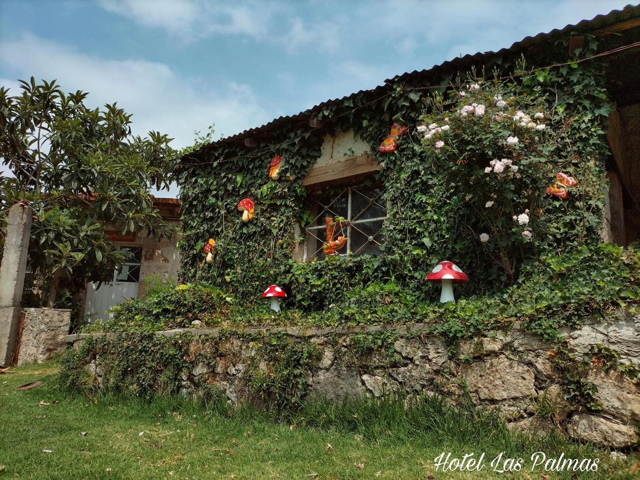 Property building in Hotel Las Palmas By GEstores