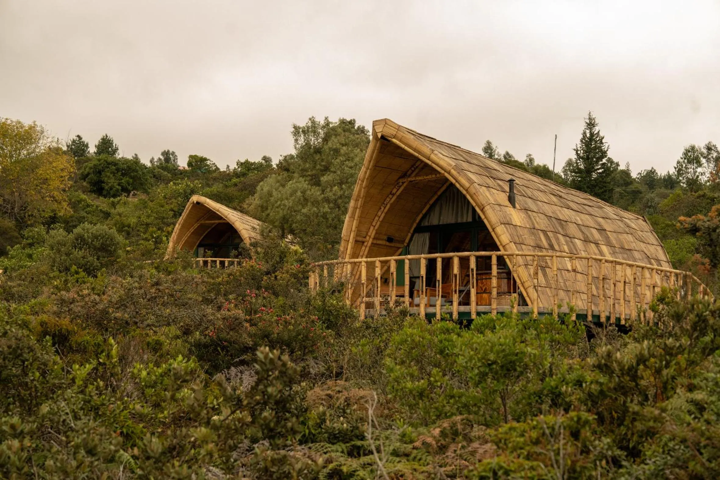 Property building in Hotel Casa Selvaggio