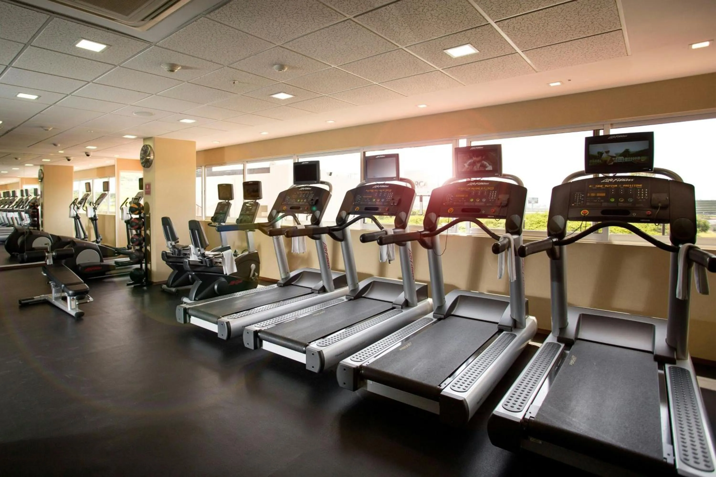 Fitness centre/facilities in Four Points by Sheraton Queretaro Norte
