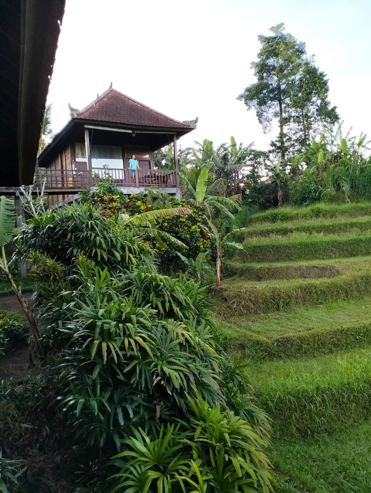 Property building in Beji Ayu Villas Sidemen