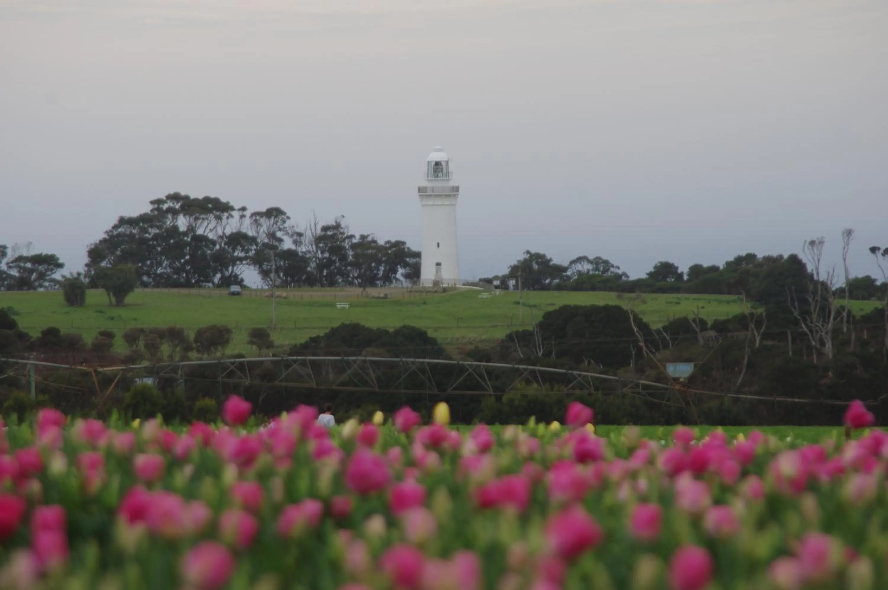 Nearby landmark in Alexandria Bed and Breakfast