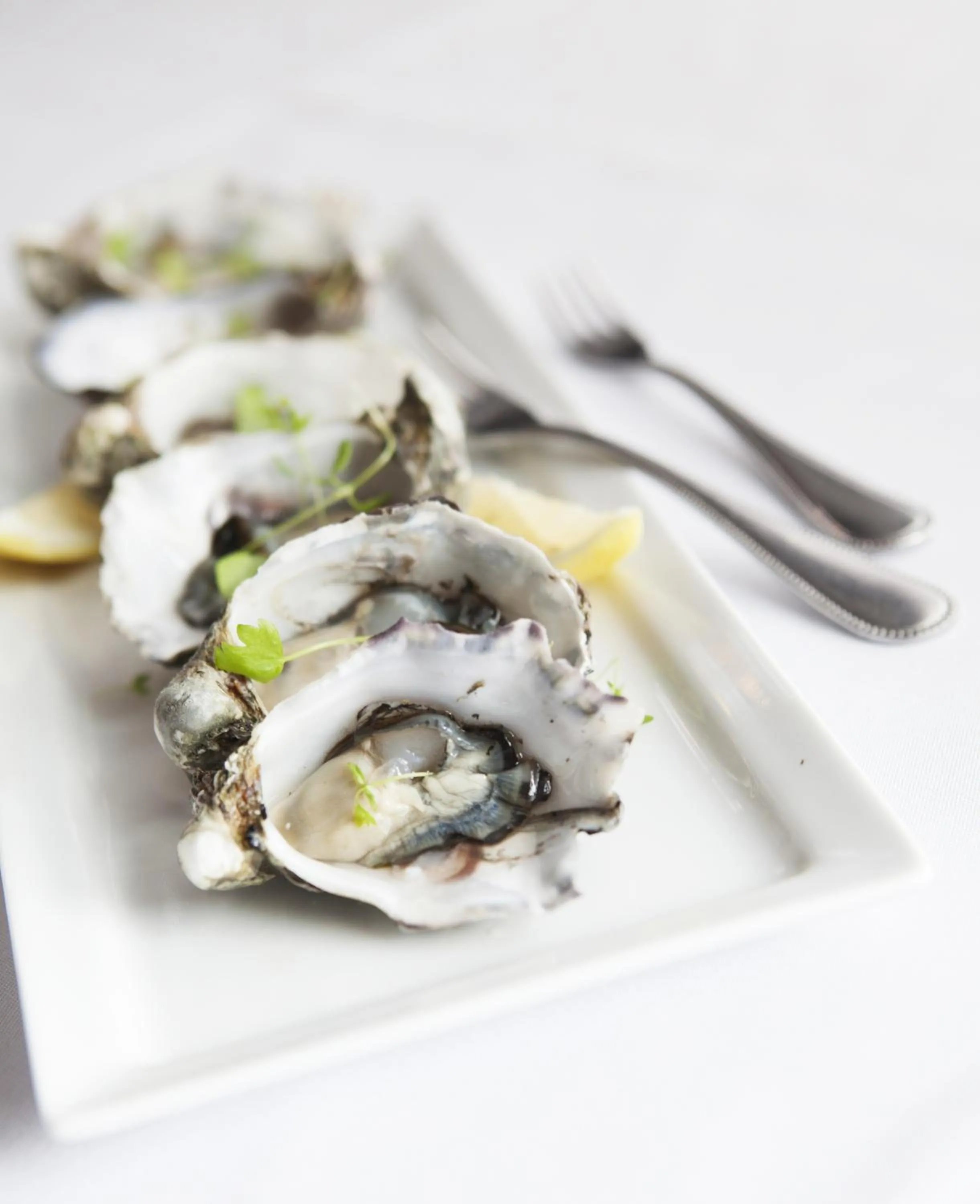 Restaurant/places to eat in Tuileries at De Bortoli Rutherglen