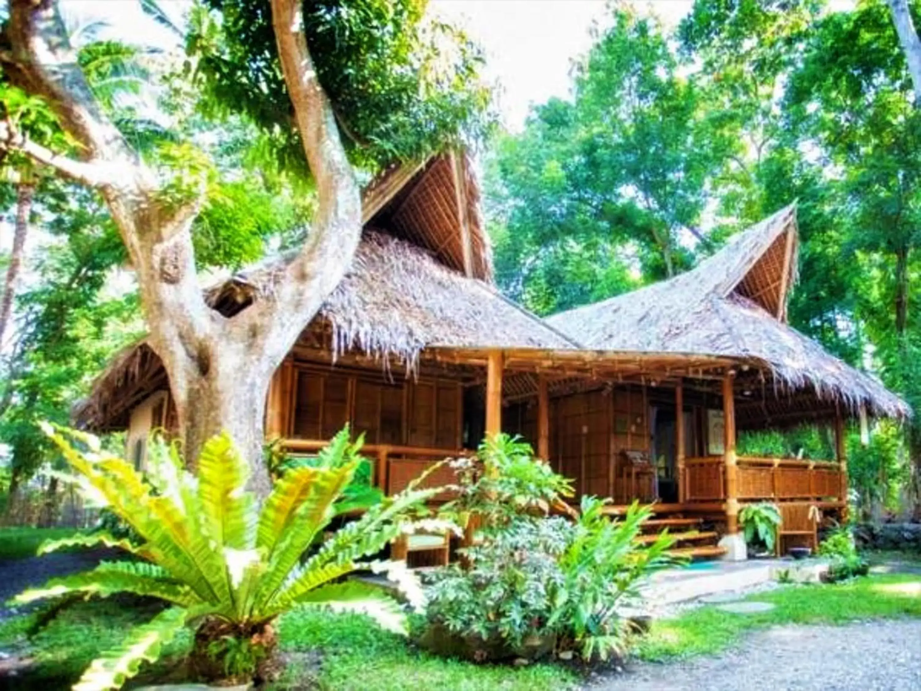 Fitness centre/facilities in Vida Homes Condo Resort Fitness centre/facilities in Vida Homes Condo Resort