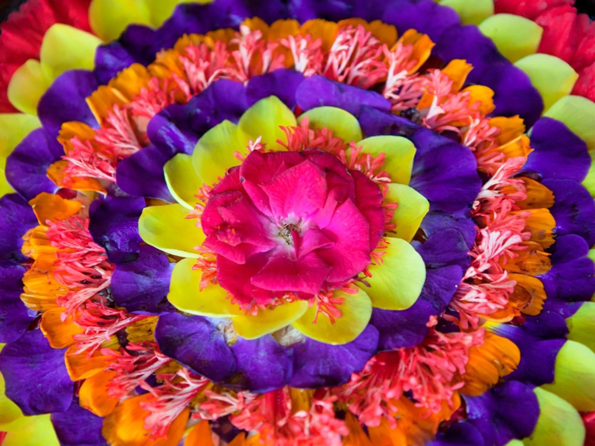 Spa and wellness centre/facilities in Vida Homes Condo Resort