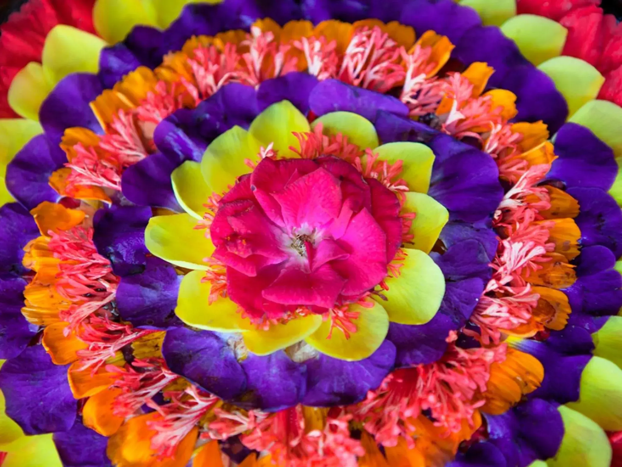 Spa and wellness centre/facilities in Vida Homes Condo Resort Spa and wellness centre/facilities in Vida Homes Condo Resort