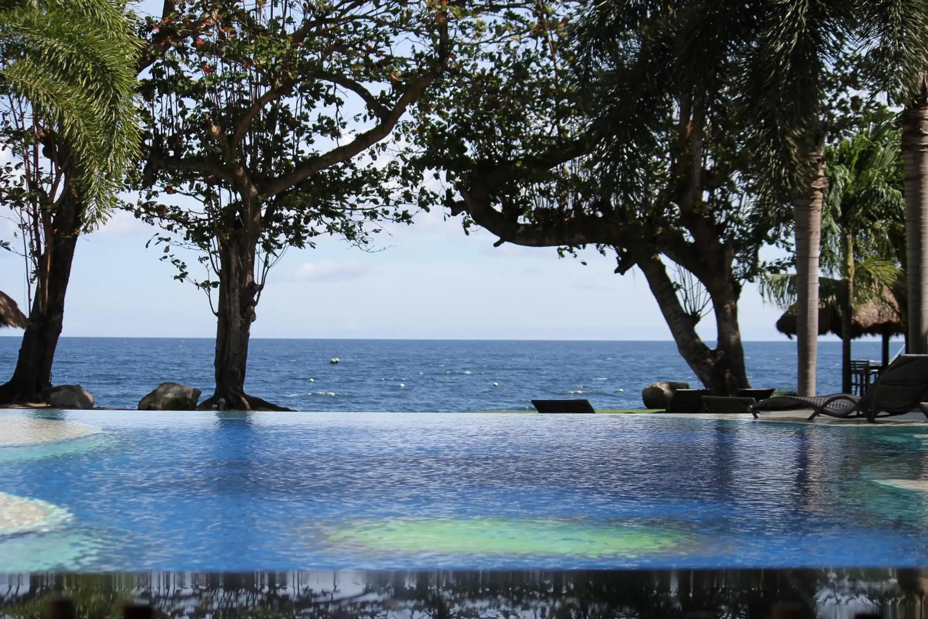 Swimming pool in Vida Homes Condo Resort Swimming pool in Vida Homes Condo Resort