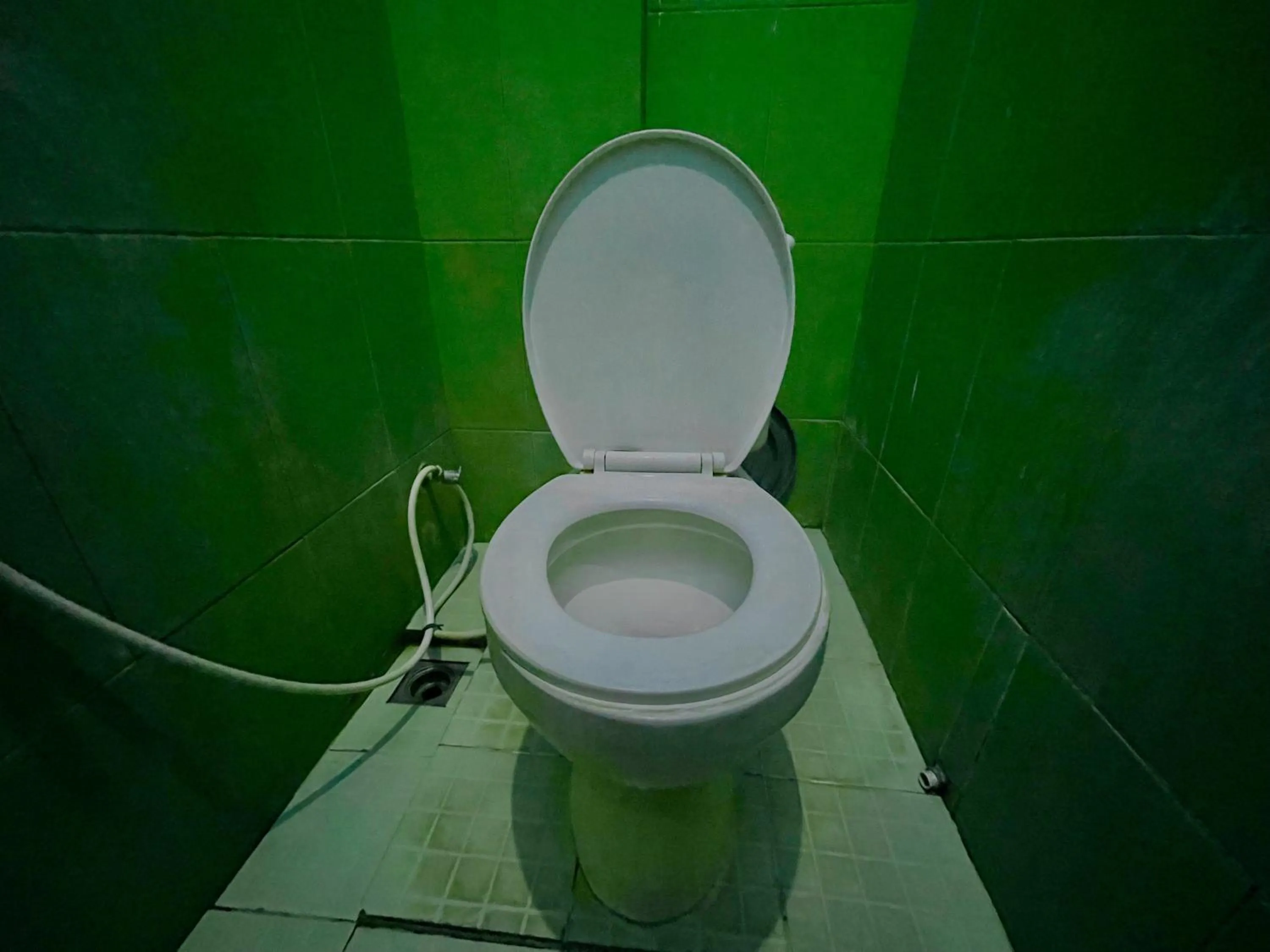 Toilet in Faster Inn 2