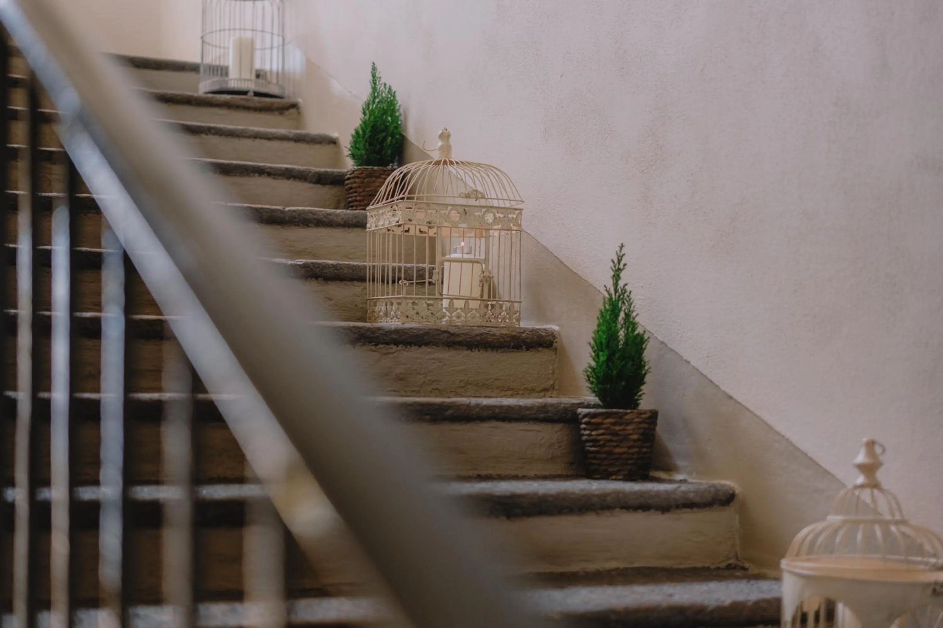 Area and facilities in Residenza Dell' Opera