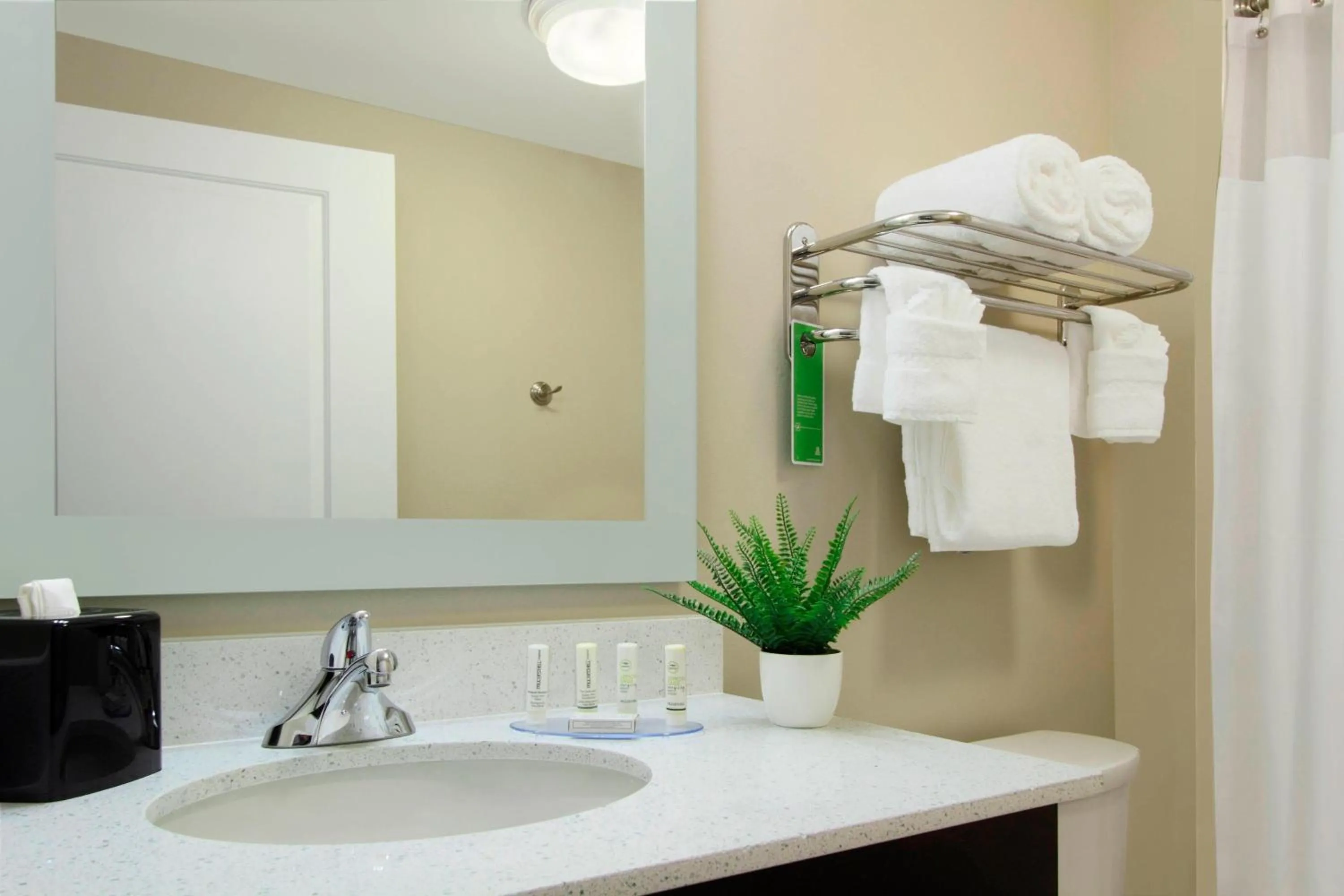 Bathroom in TownePlace Suites by Marriott Dallas McKinney