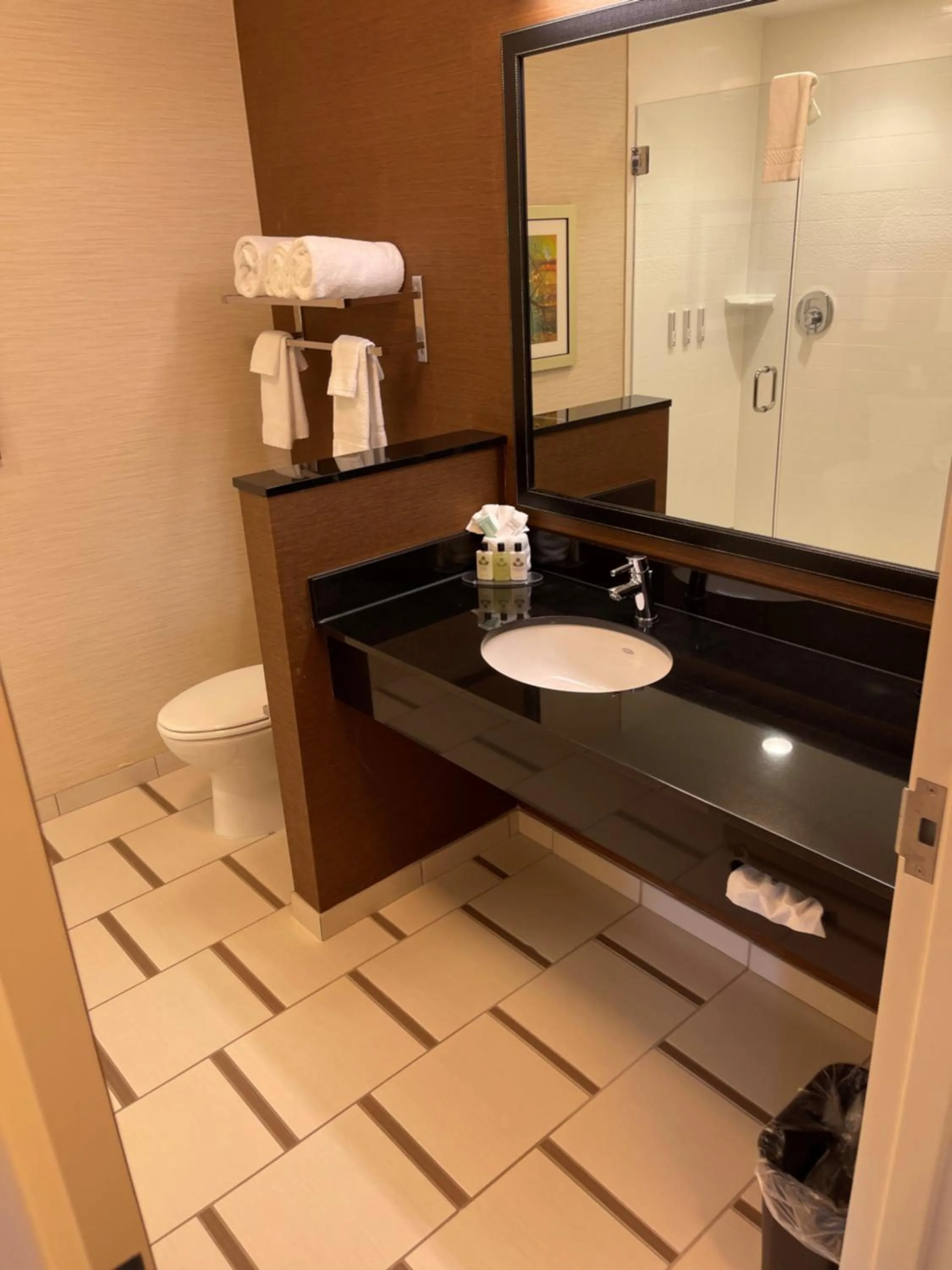 Bathroom in Fairfield Inn & Suites by Marriott East Grand Forks