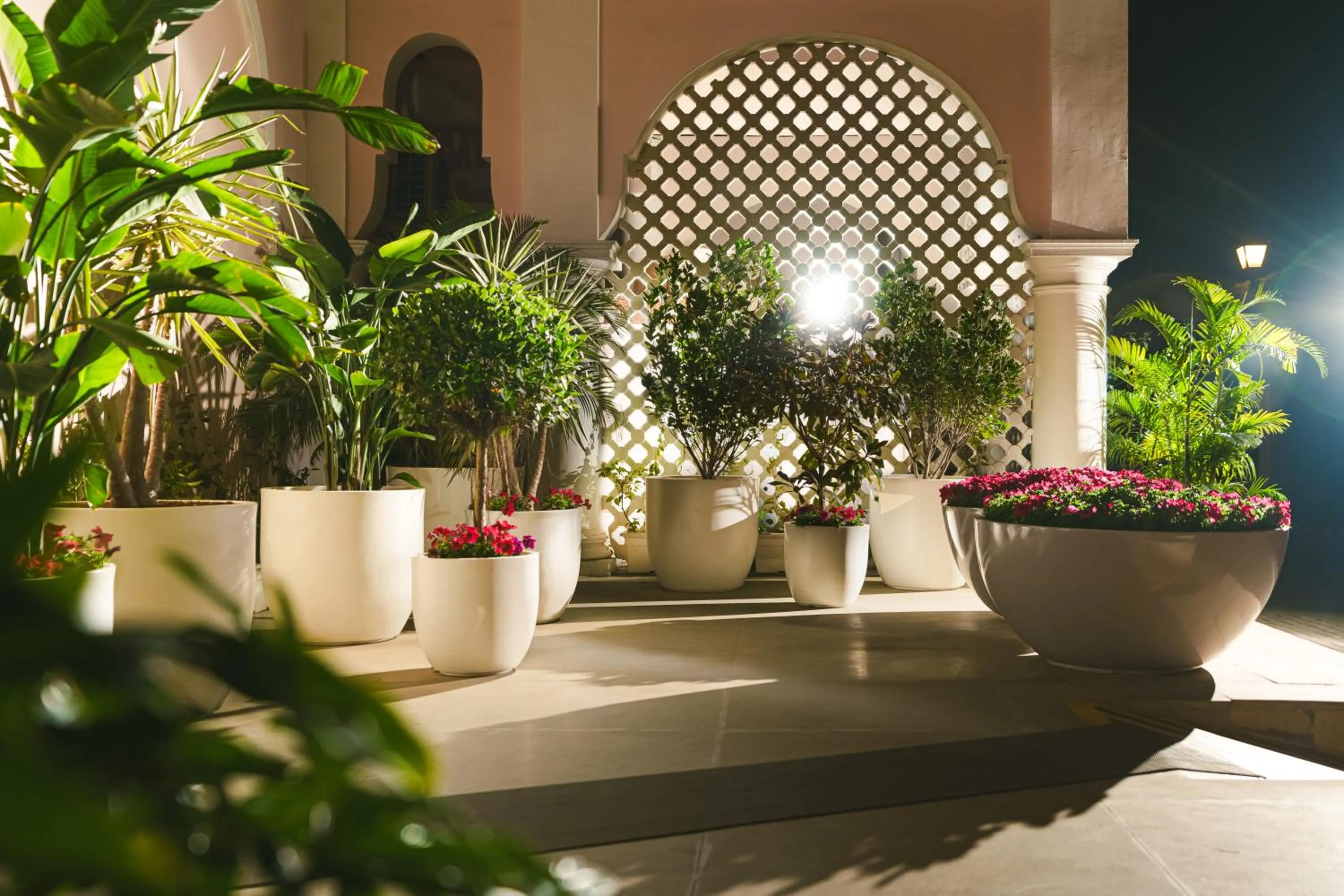 Garden in DLF Club 5