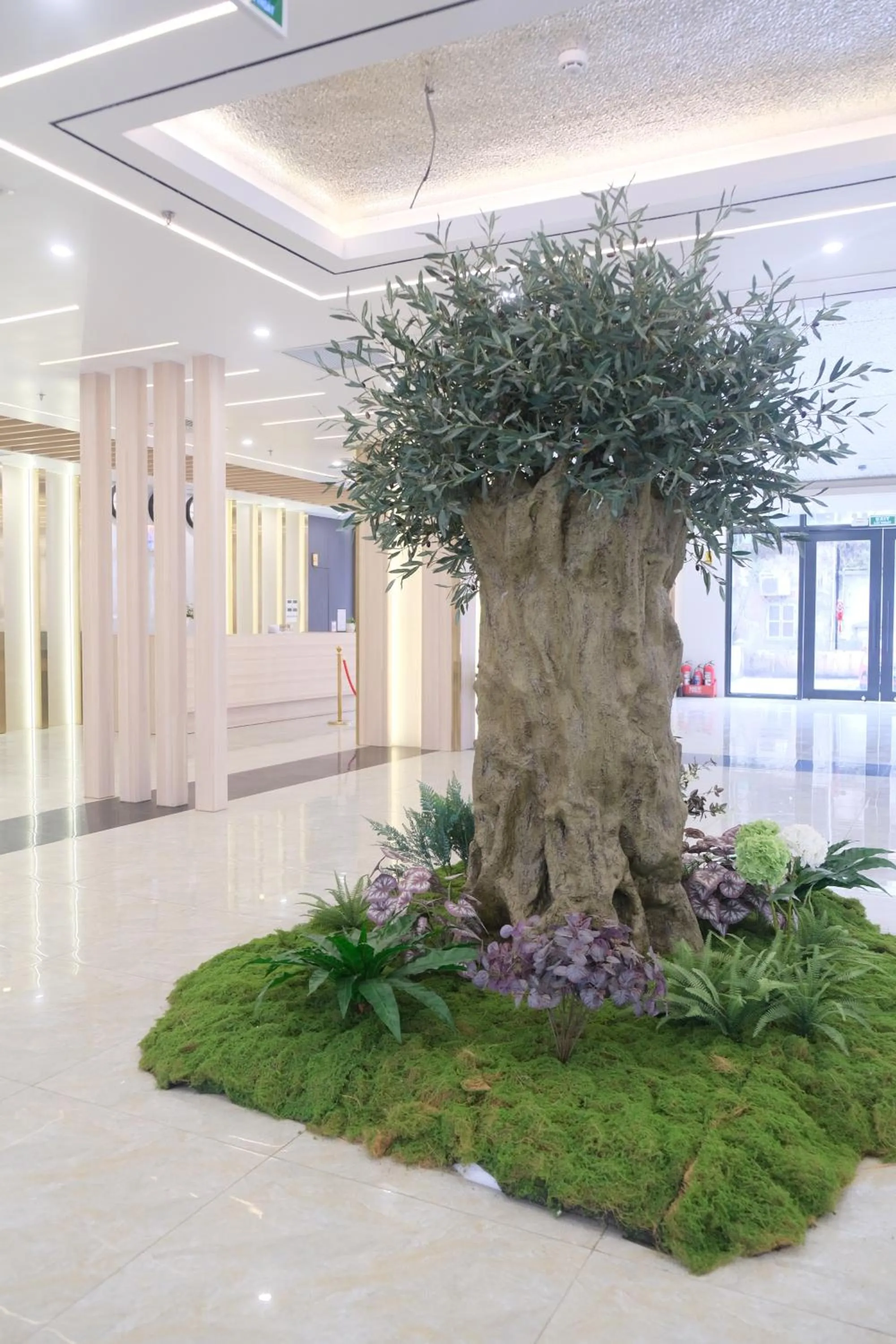 Garden in Infinity Hotel