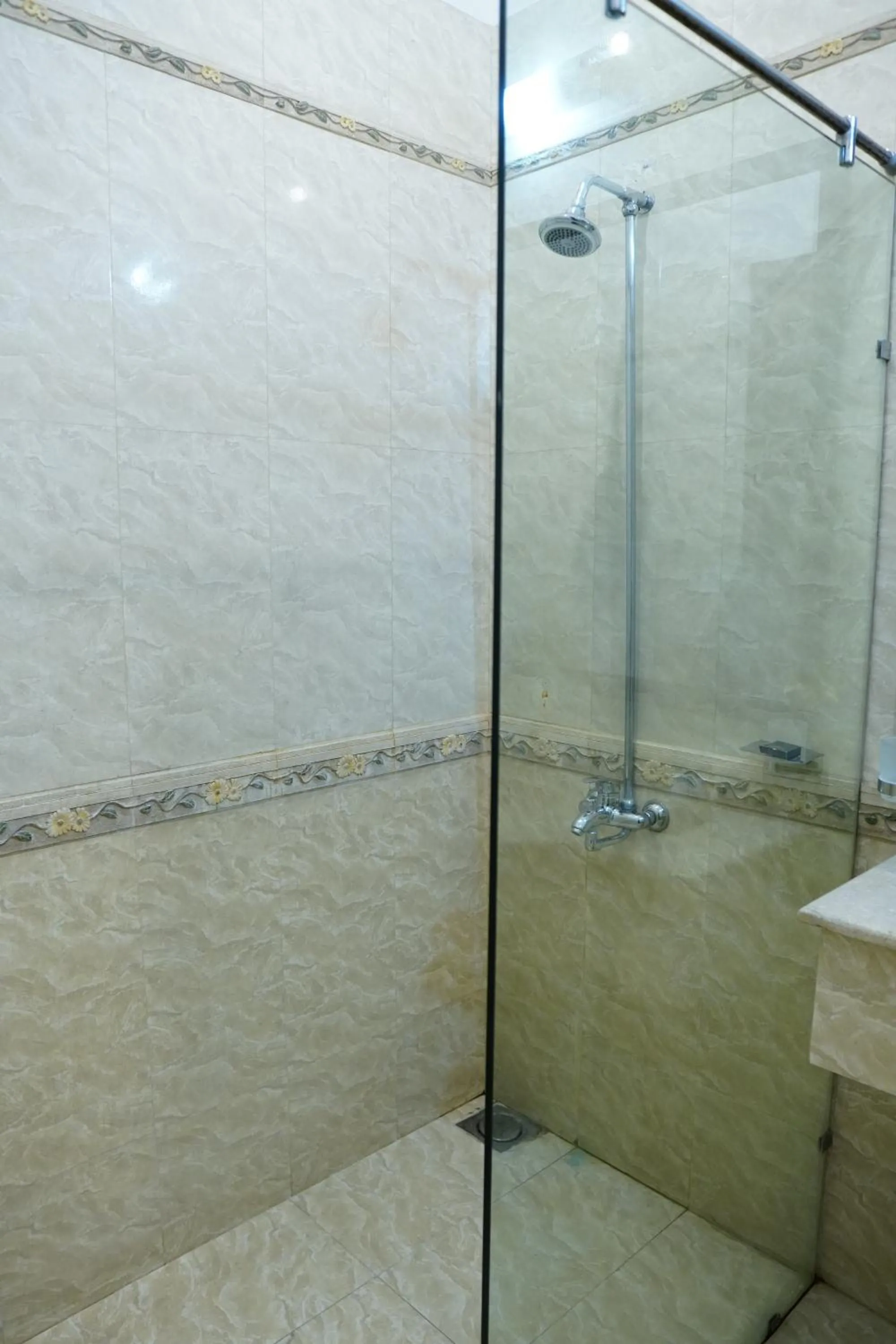Shower in Sofital Hotel