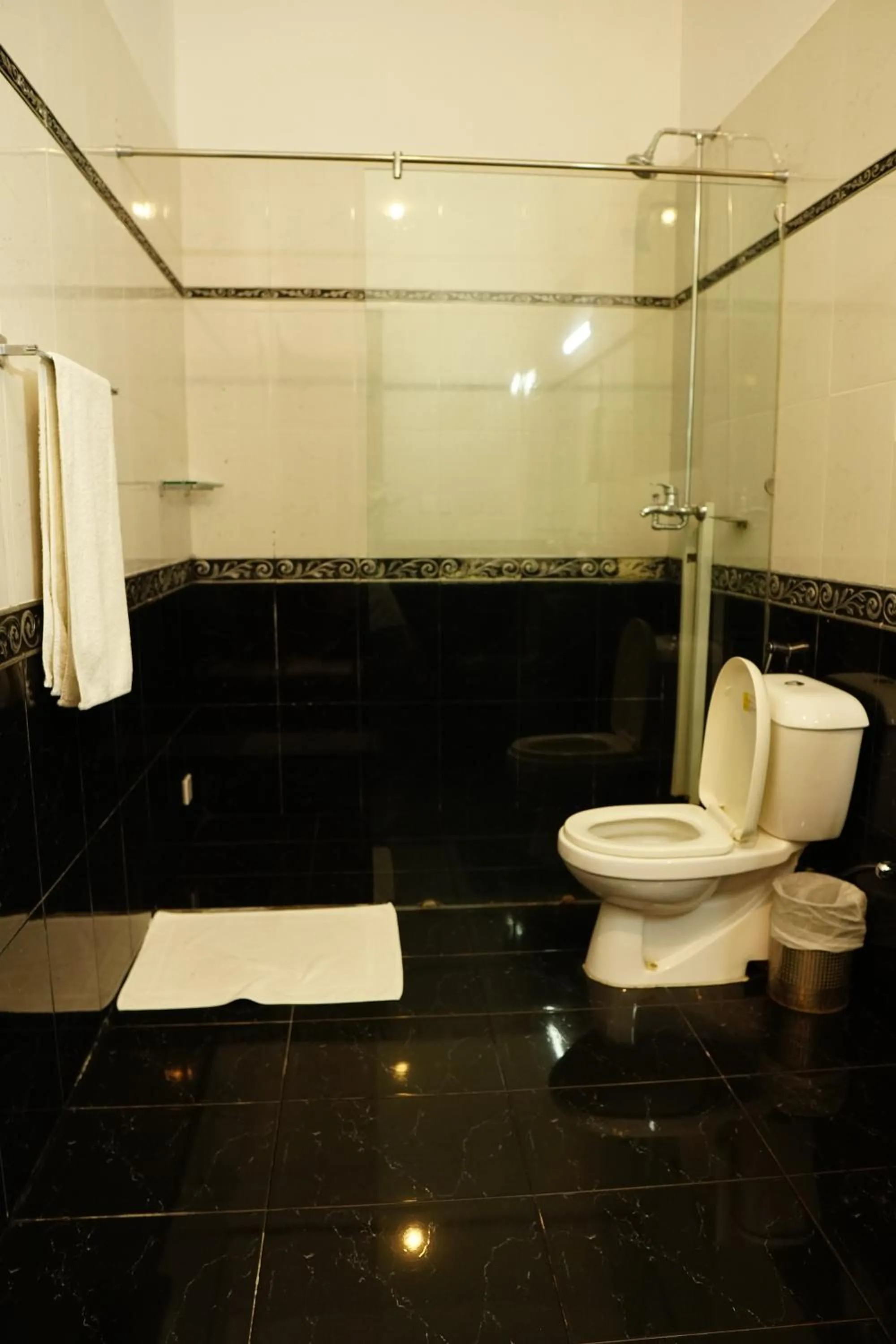 Bathroom in Sofital Hotel