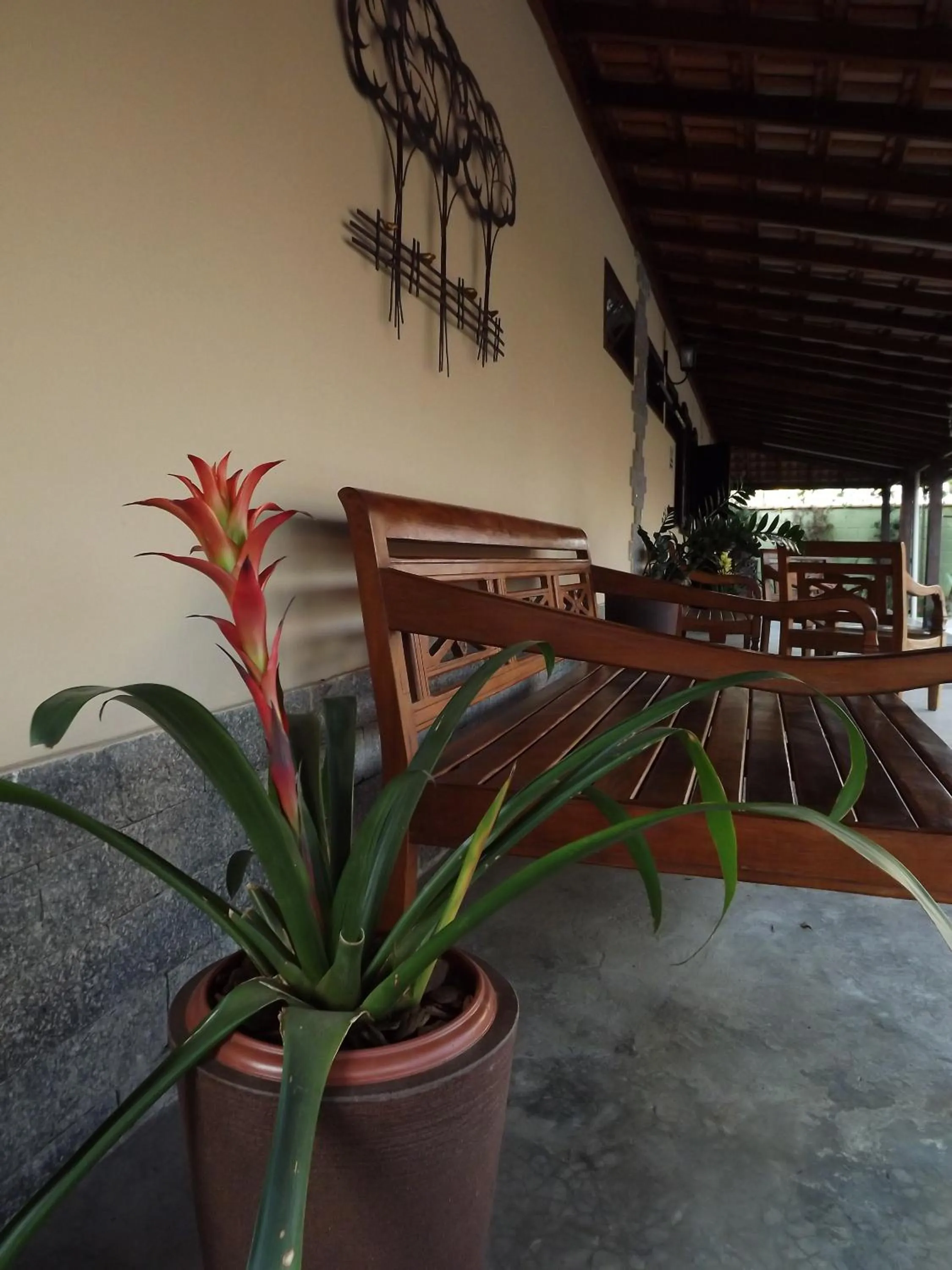 Patio in Pousada Casa do Bosque