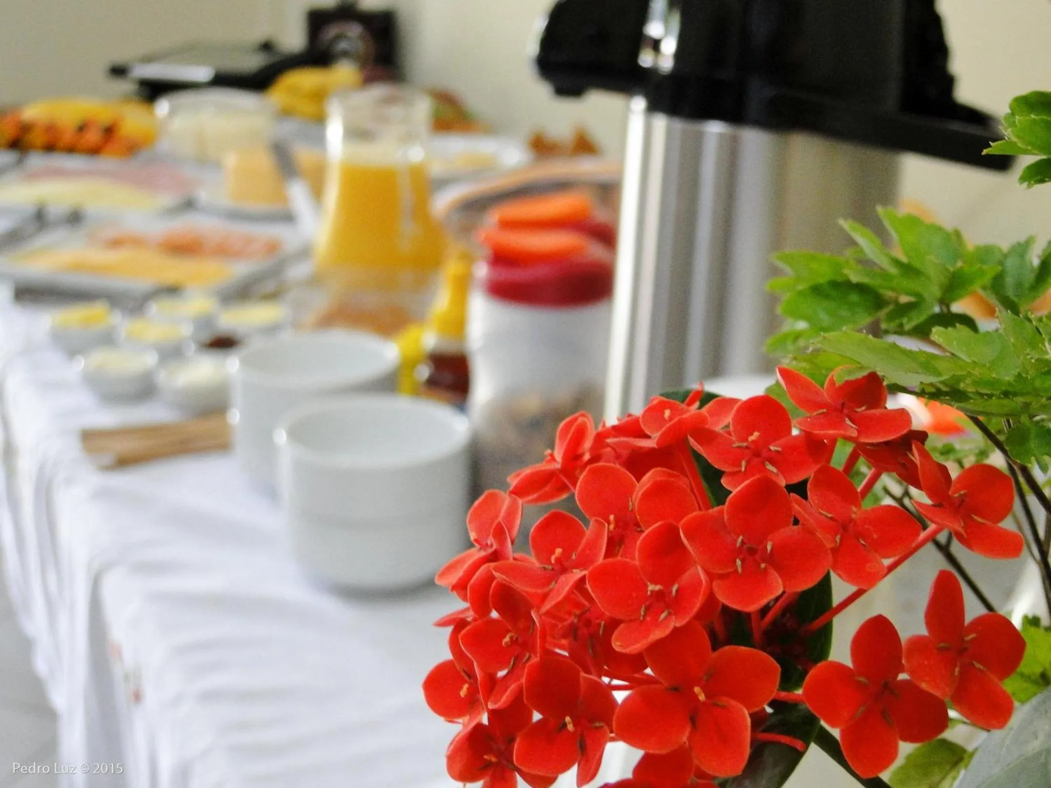 Breakfast in Pousada Casa do Bosque