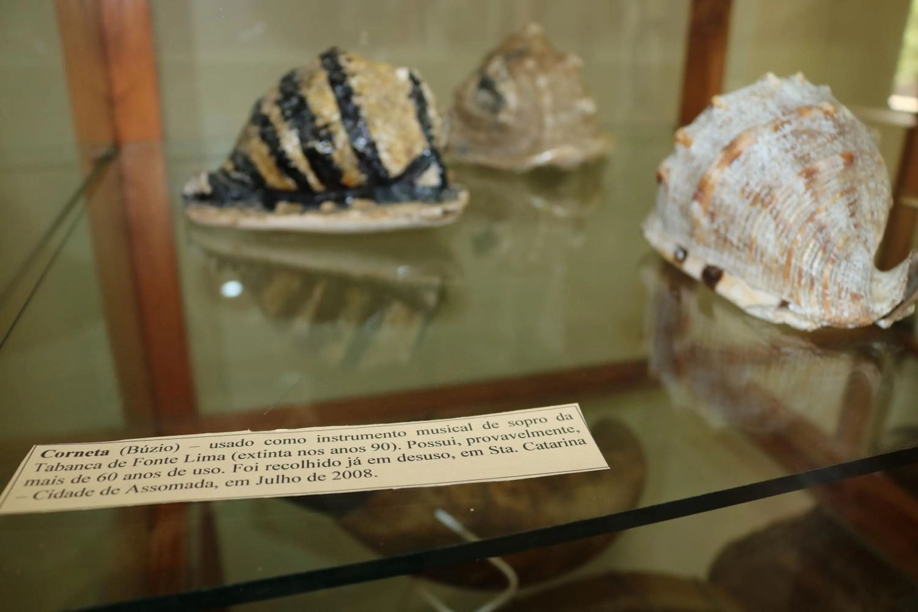 Off site in Residencial Cosmos