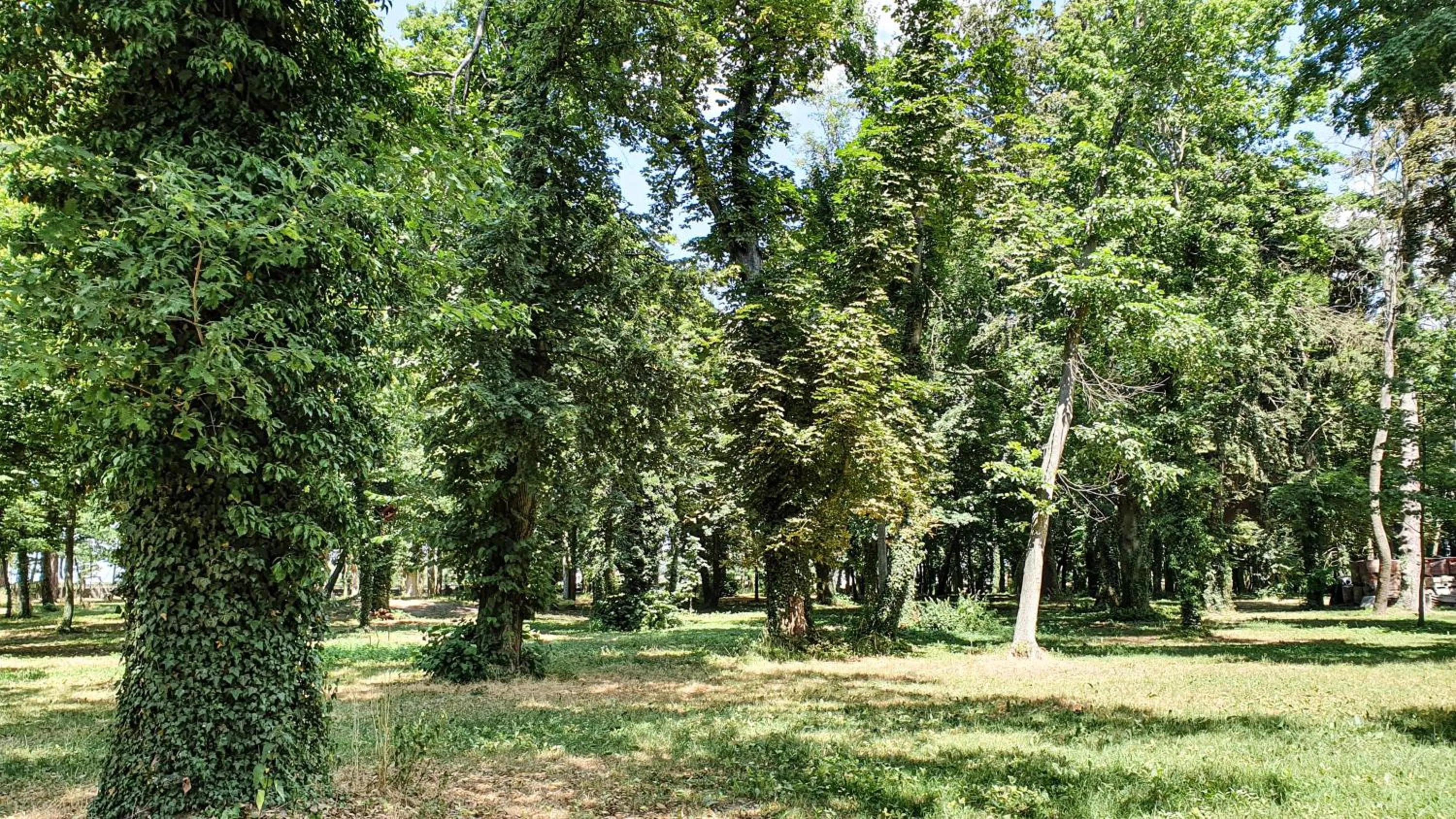 Natural landscape in Dworek Brodowo Restauracja Hotel Przyjęcia