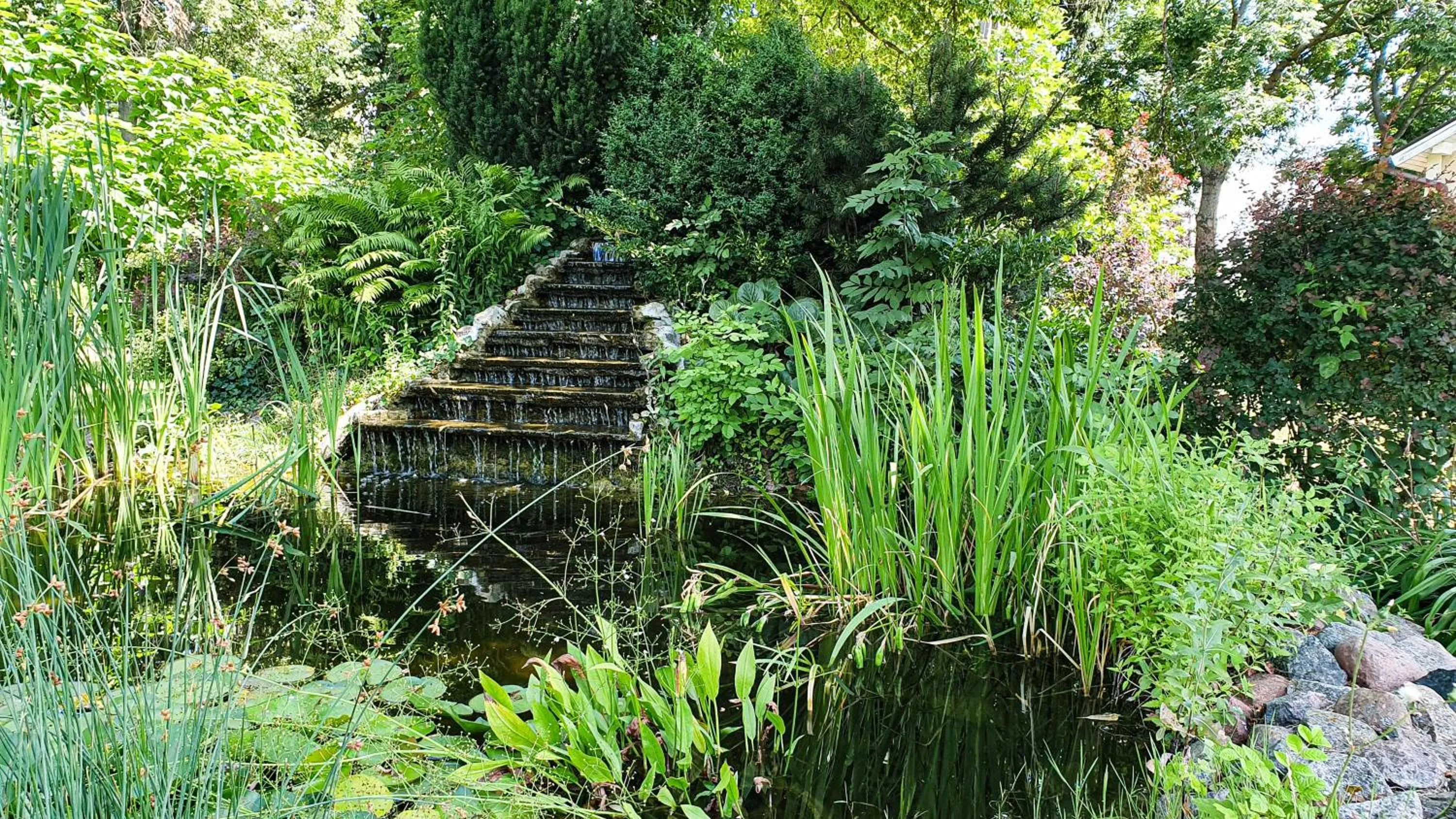 Natural landscape in Dworek Brodowo Restauracja Hotel Przyjęcia