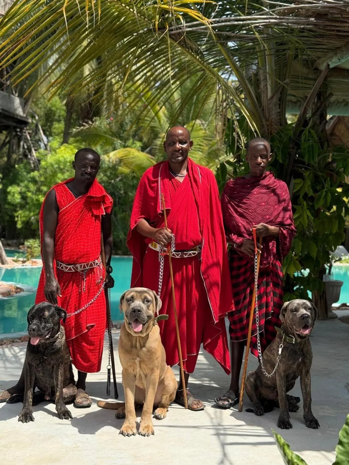 The Nest Tropical Oasis Resort