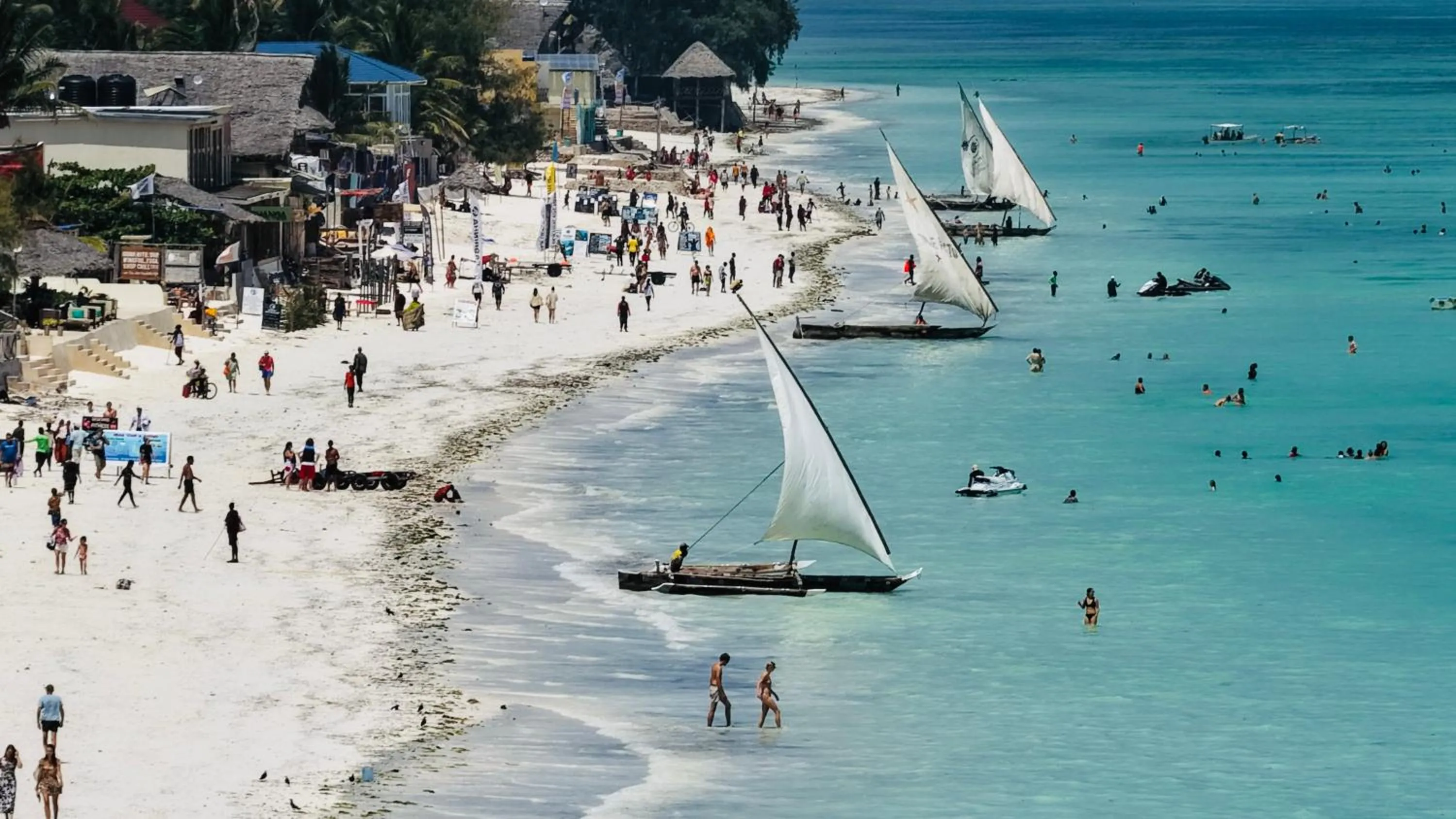 The Nest Tropical Oasis Resort