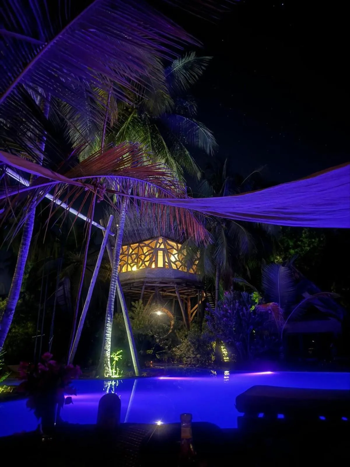 Night in The Nest Tropical Oasis Resort