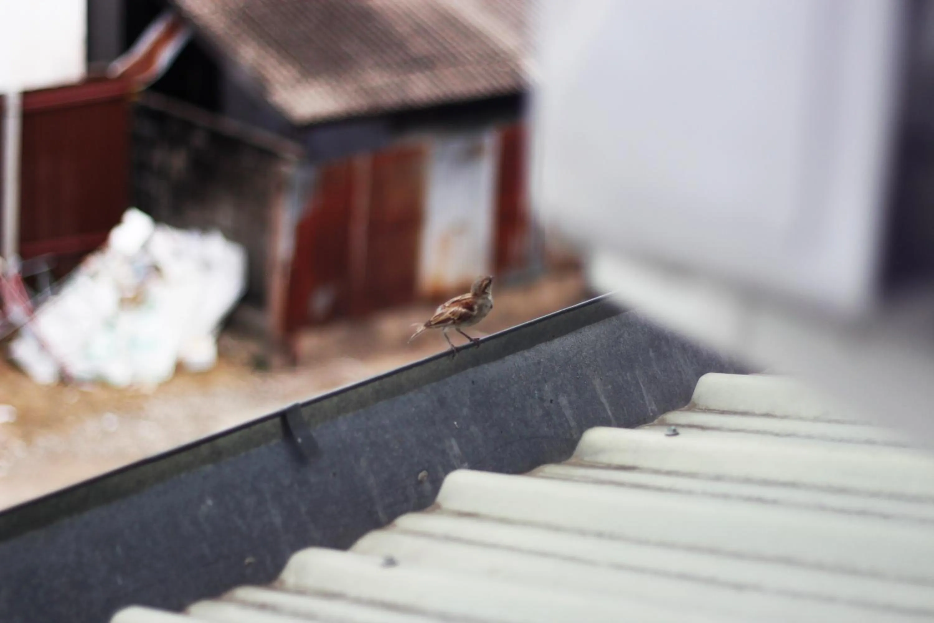 Other in 3 Laan House